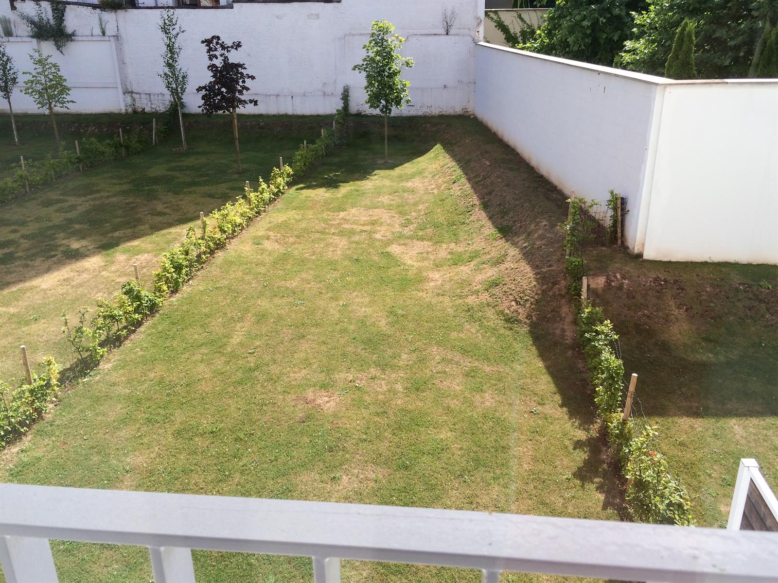 Prachtig Appartement met 3 Kamers + TUIN!!!! foto 4