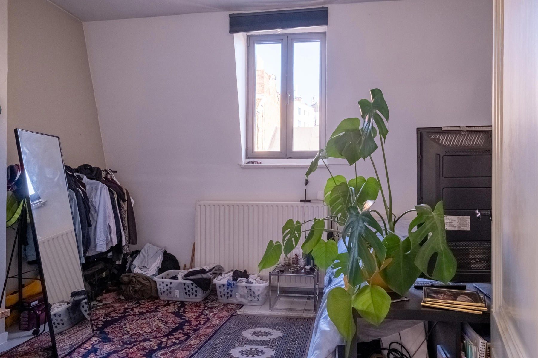  foto 20