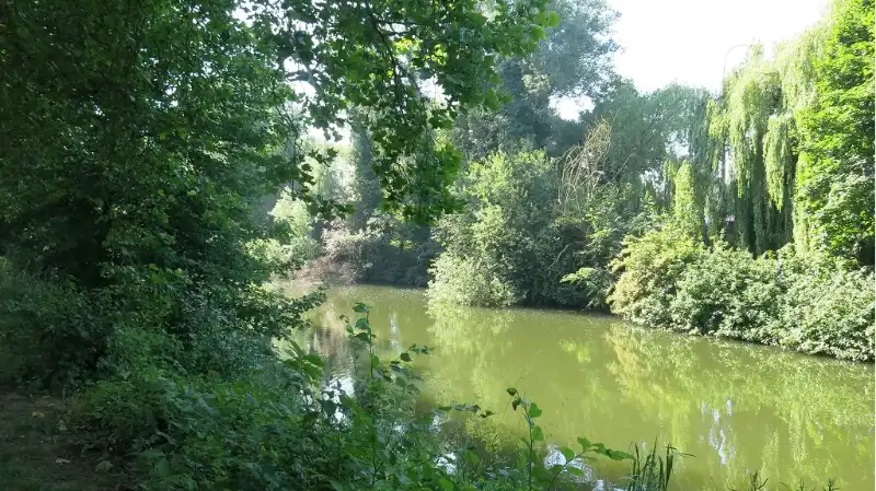 Comfortabel 1-slaapkamerappartement met terras en tuin te huur in Kristus-Koning Brugge, foto 12