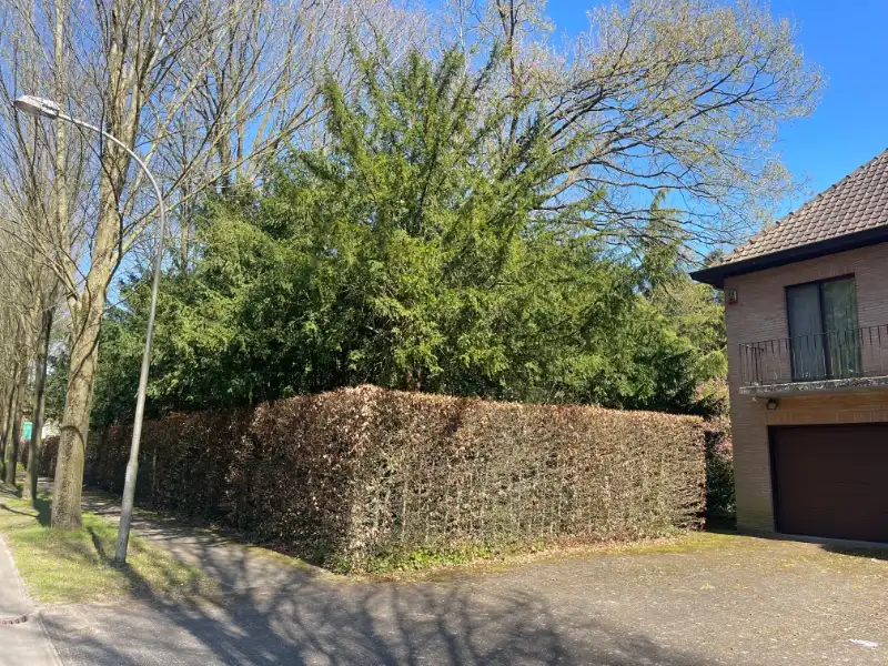 Villabouwgrond te koop – 1.967 m² – Hoge Kaart (links nr. 10) foto 8