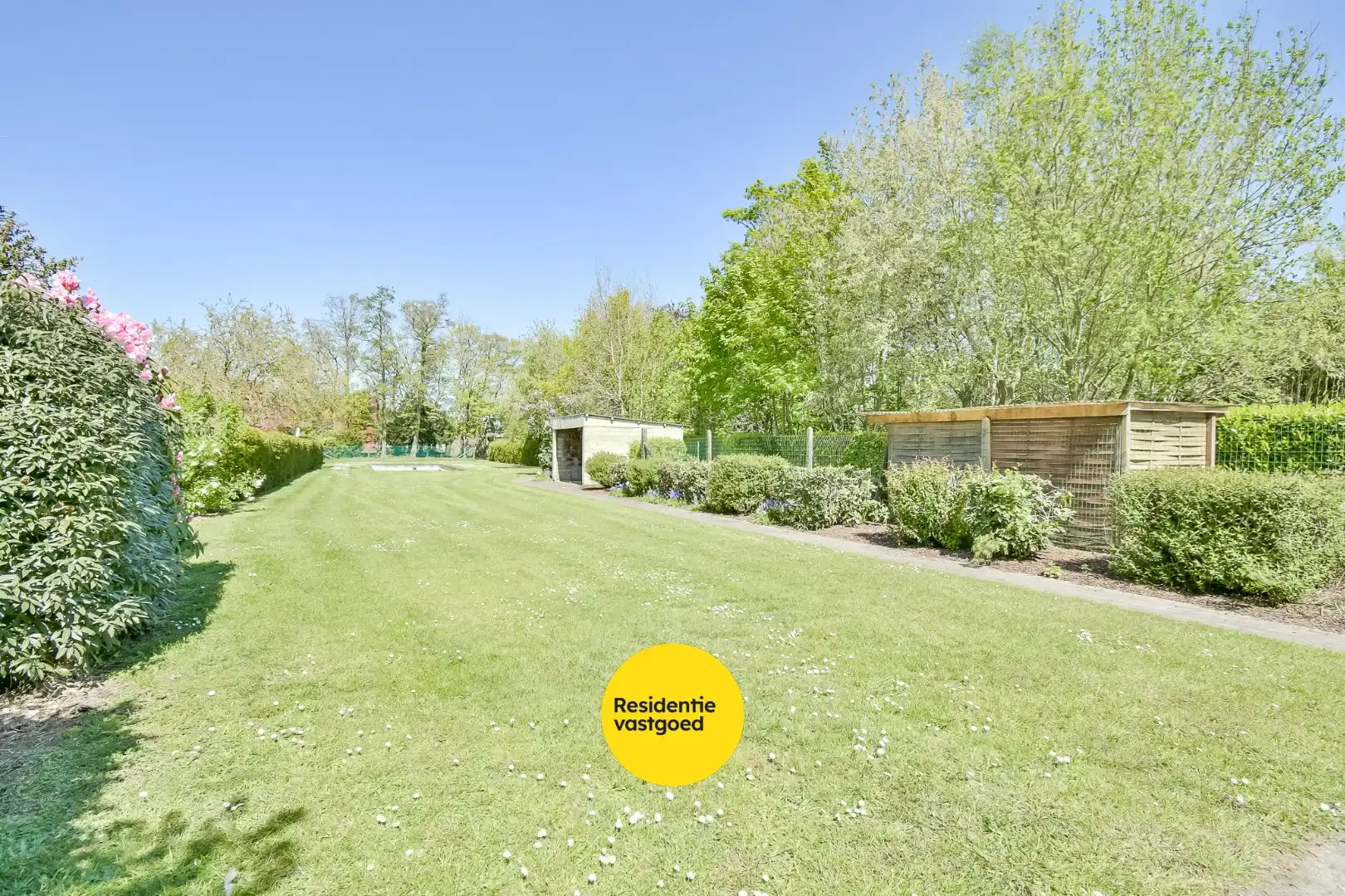 KIJKDAG zaterdag 9/05 van 10u tot 12u, op afspraak! foto 20