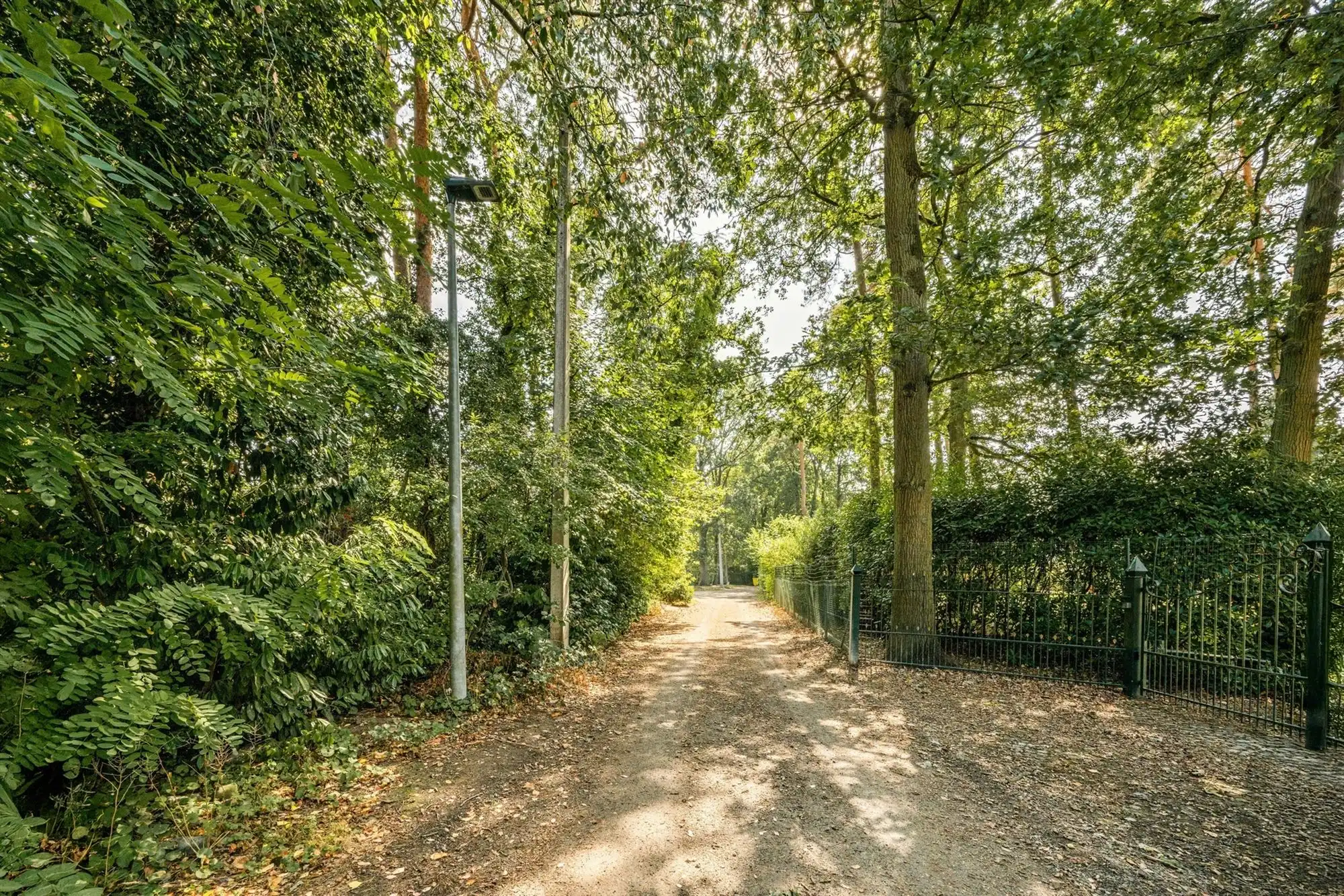 Bouwgrond van 1.555 m² in groene omgeving nabij het dorpshart foto 9