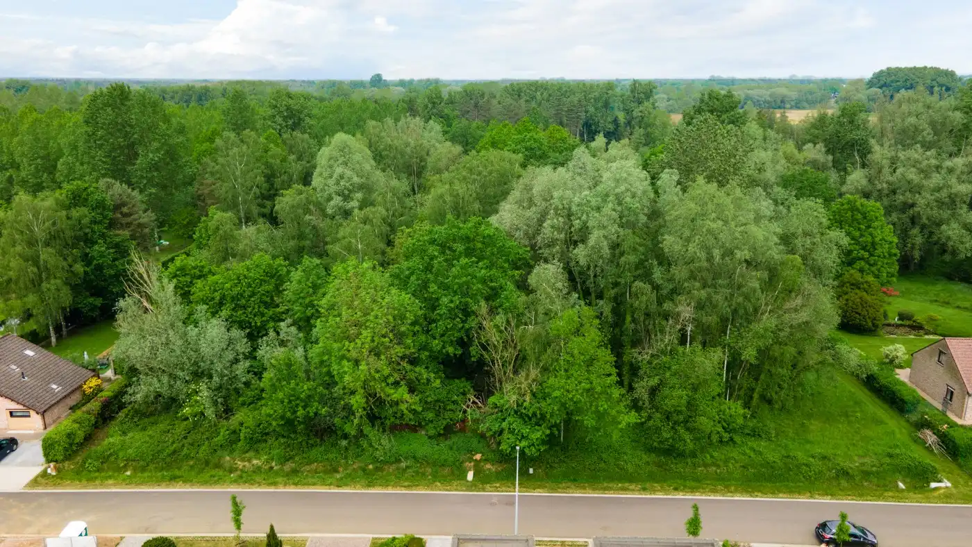 Rustig gelegen bouwgrond van 800m² voor HOB in Olmen foto 11