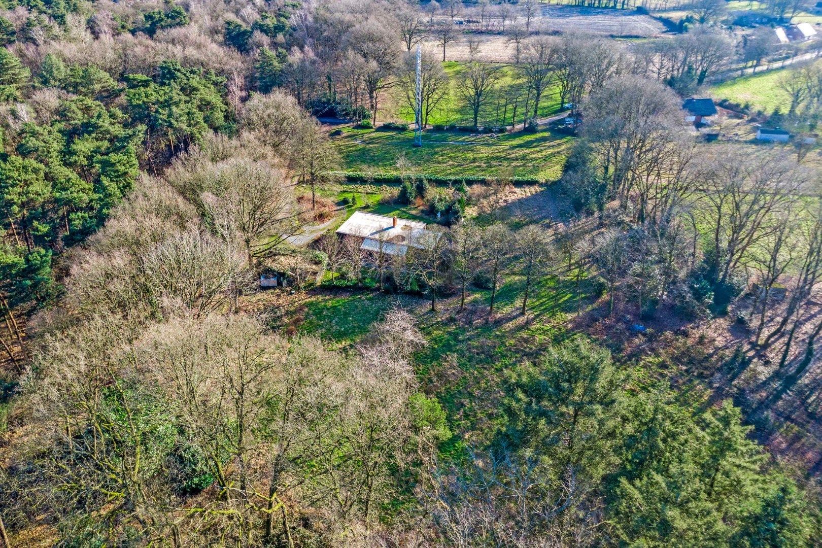 Unieke woonst op 620 are: rust, natuur en eindeloze mogelijkheden! foto 2