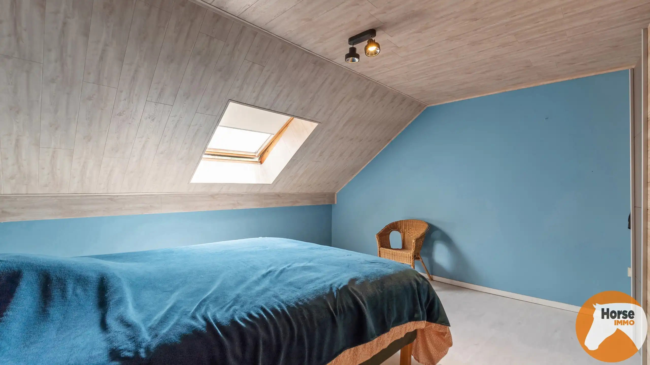 HERNE - Gerenoveerde woning met hangar op +-75a foto 10