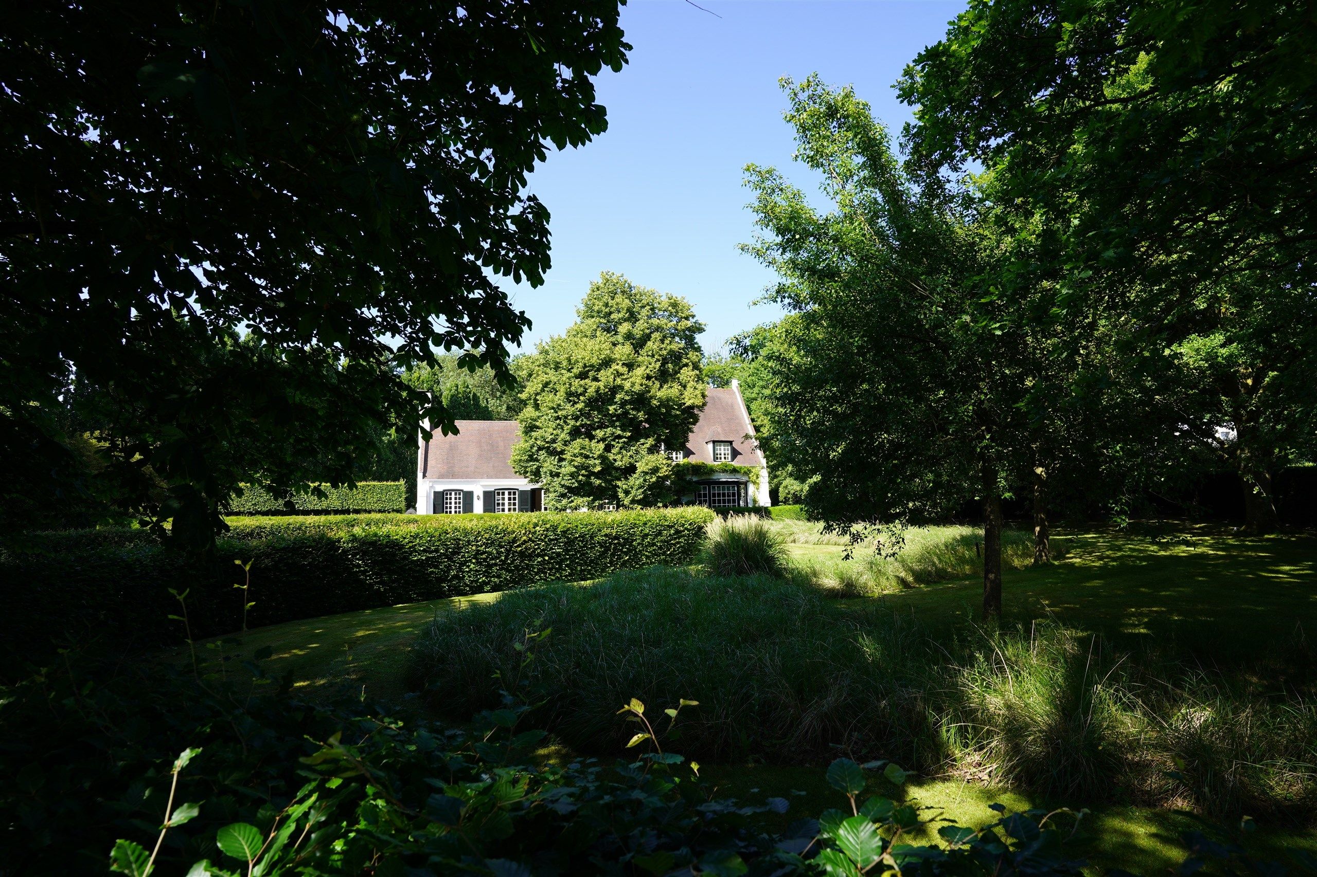 Aan Bellegem bos: Idyllische eigendom op 7.630 m² foto 2