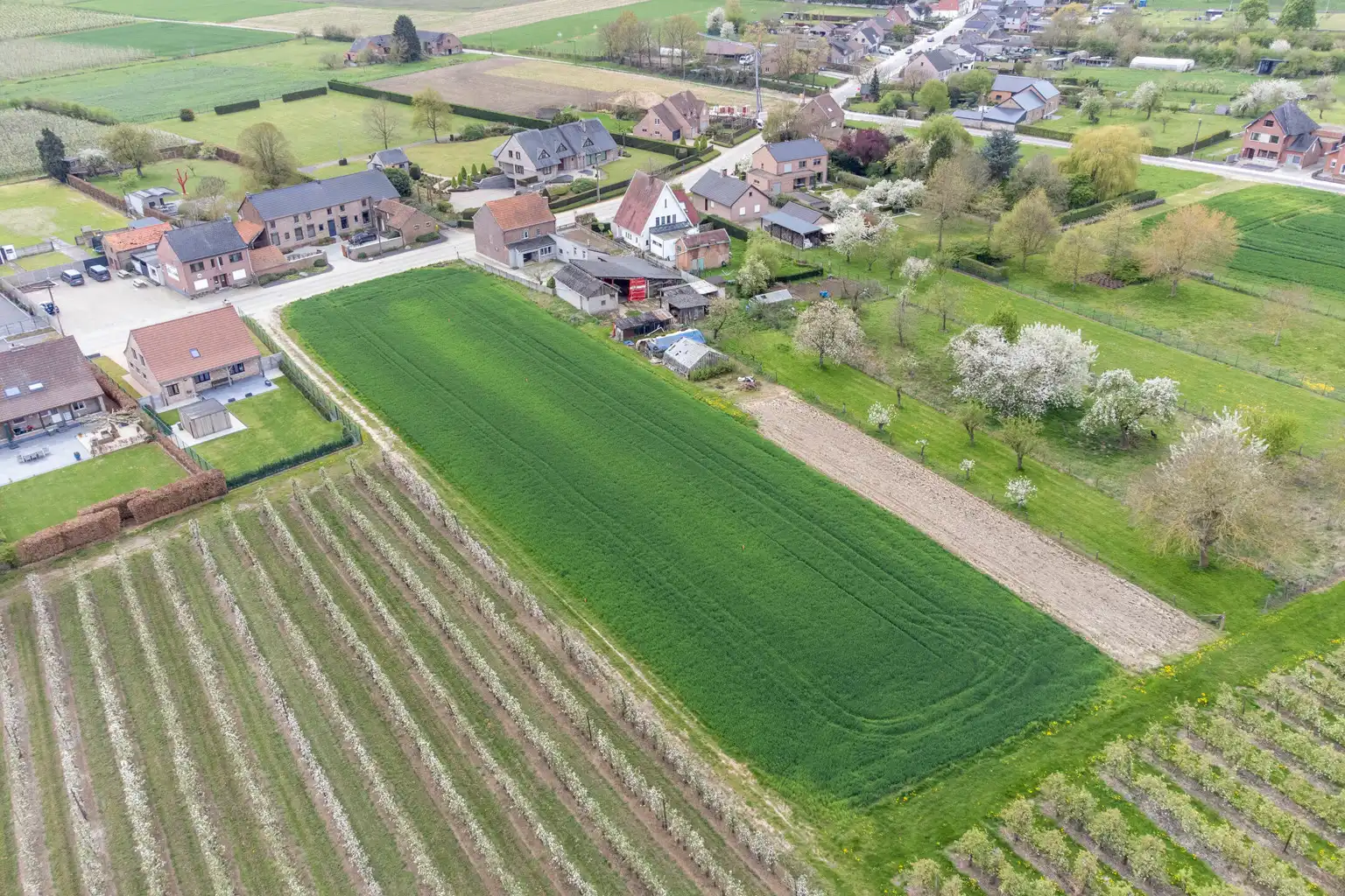 MOOI GELEGEN BOUWGRONDEN IN GLABBEEK  (LOT1) foto 2