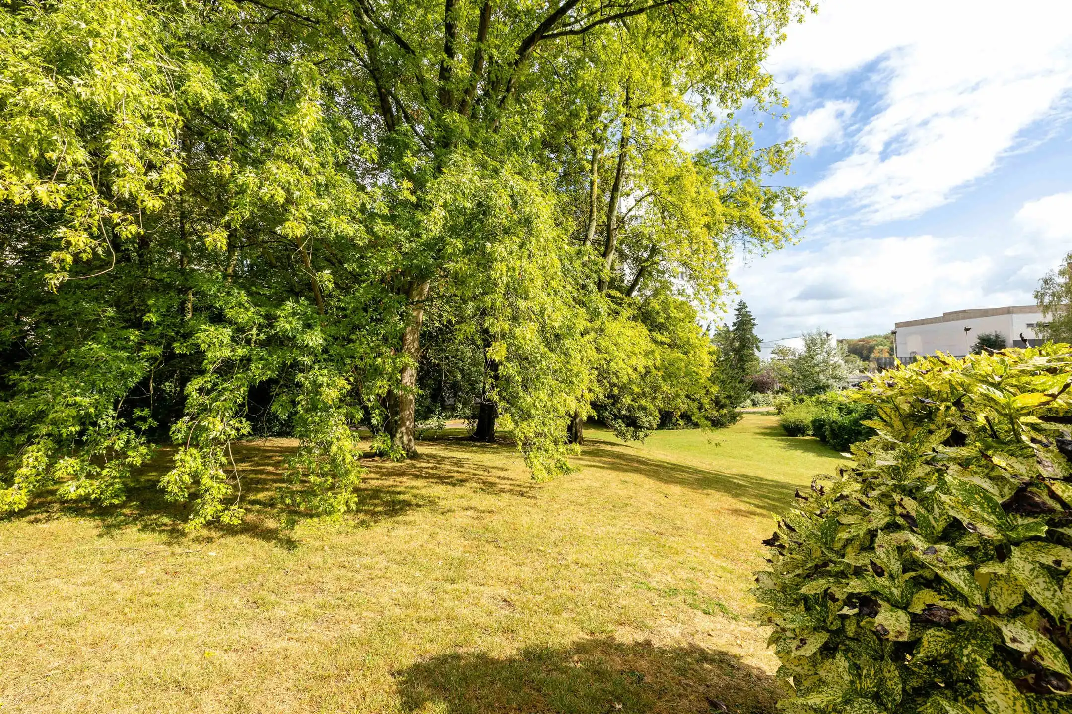 Gemeubileerde studio met terras en EPC D - Roodebeek foto 8