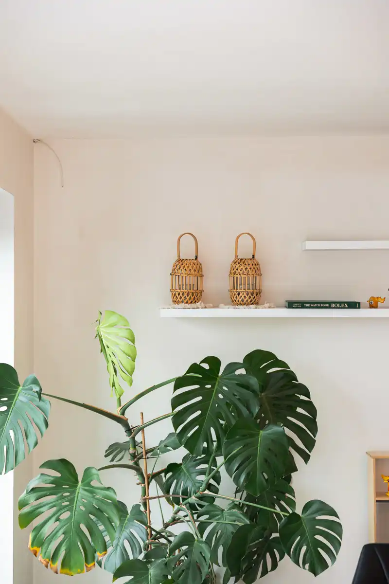 Recente BEN woning op rustige locatie foto 12