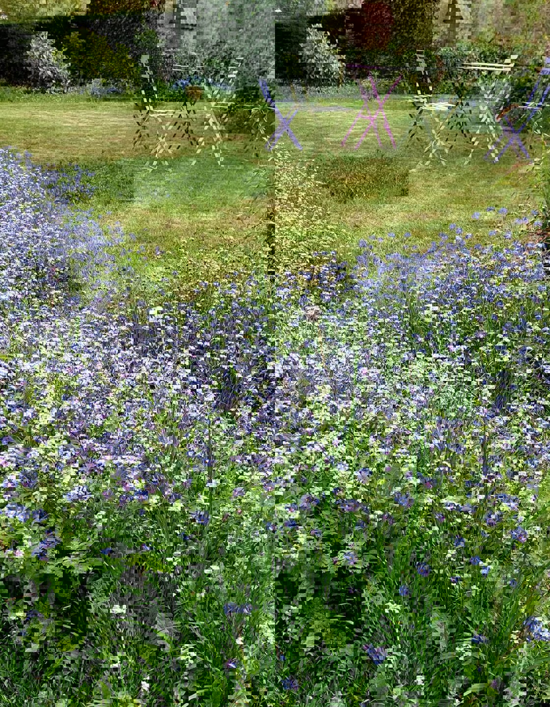 Zeer aangename en charmante woning te Lettelingen foto 4