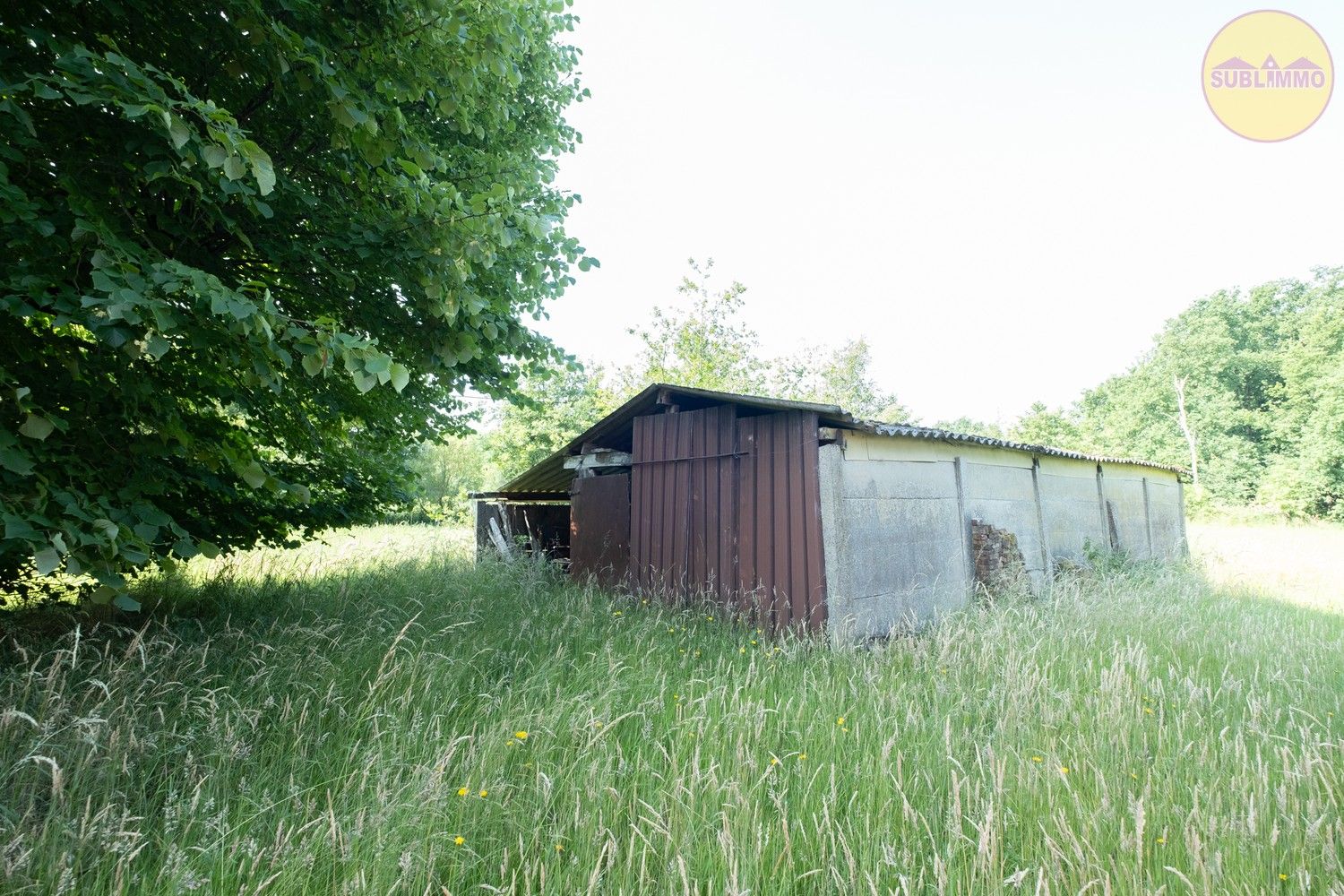 Te renoveren langgevelhoeve op unieke locatie in Balen – 18.729 m² grondoppervlakte foto 16