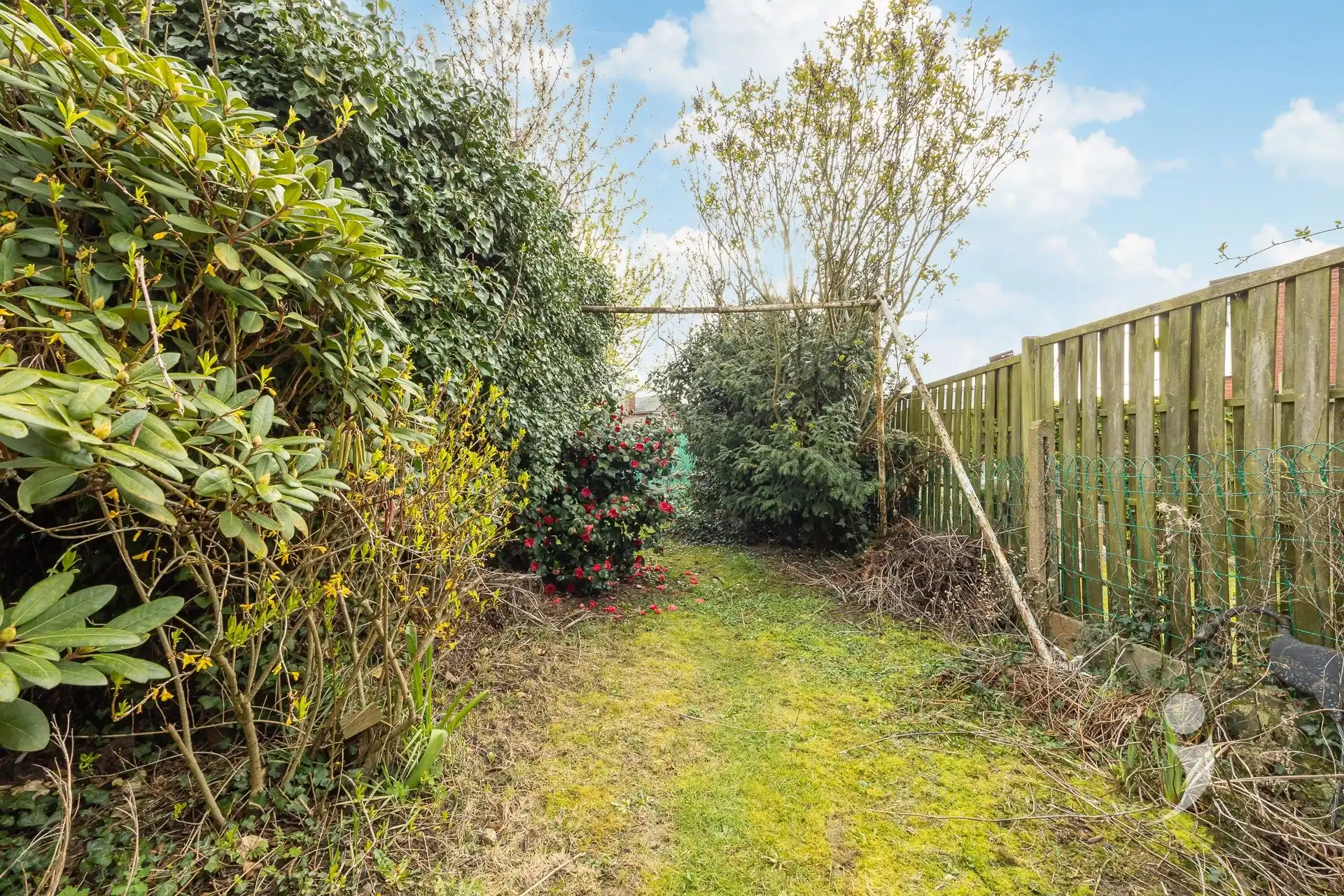 Te renoveren woning met oprit en tuin in Herent foto 21