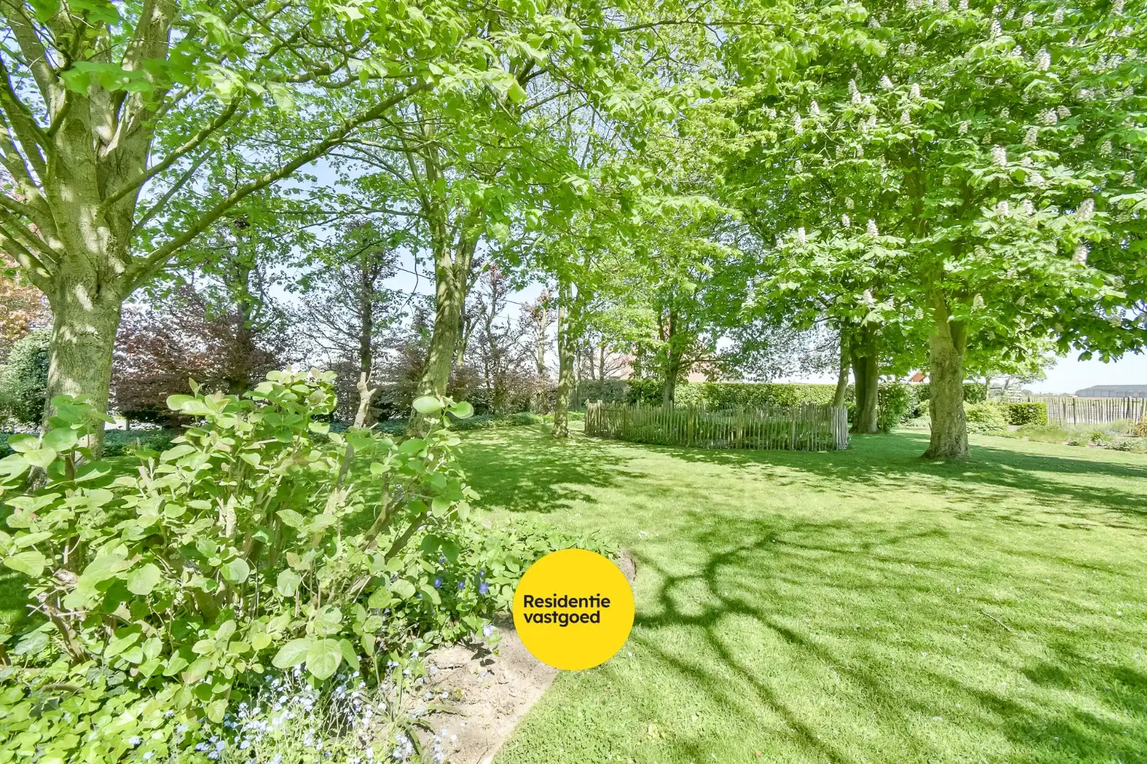 KIJKDAG zaterdag 9 mei van 10u tot 12u, op afspraak! foto 17