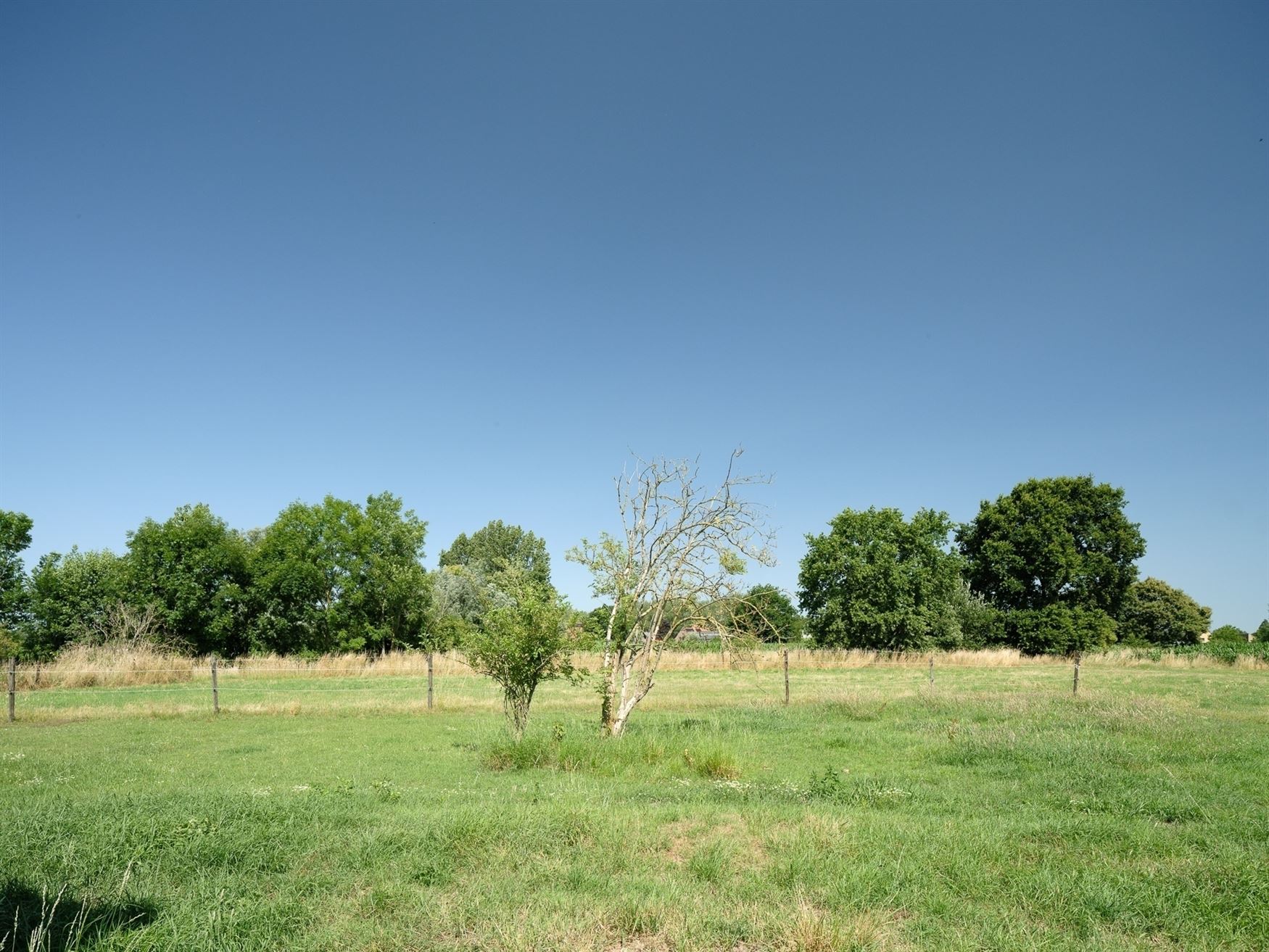 Hoeve voor landbouw foto 4