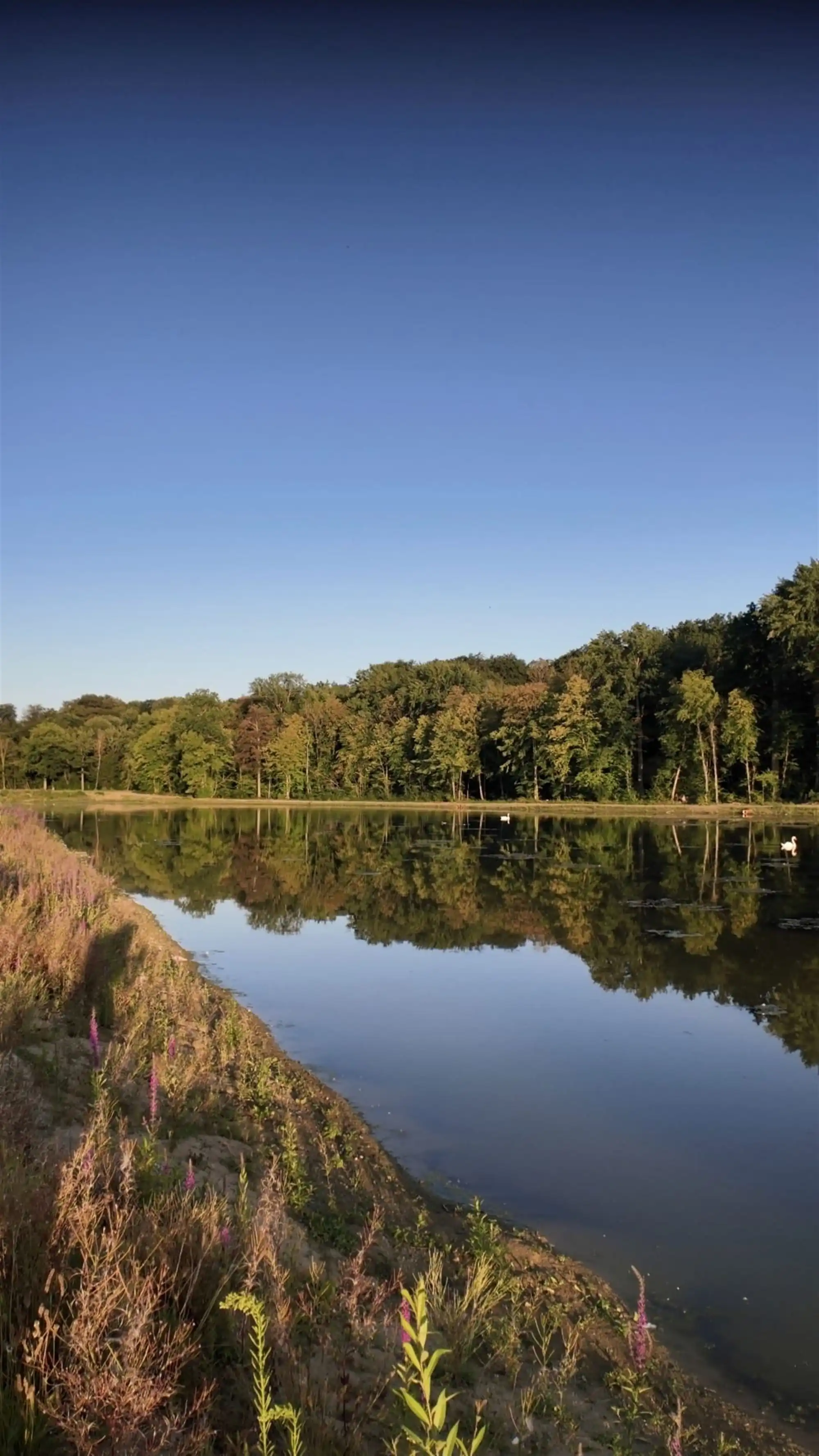 Bouwgrond op een uitzonderlijke locatie in Oud-Heverlee foto 12