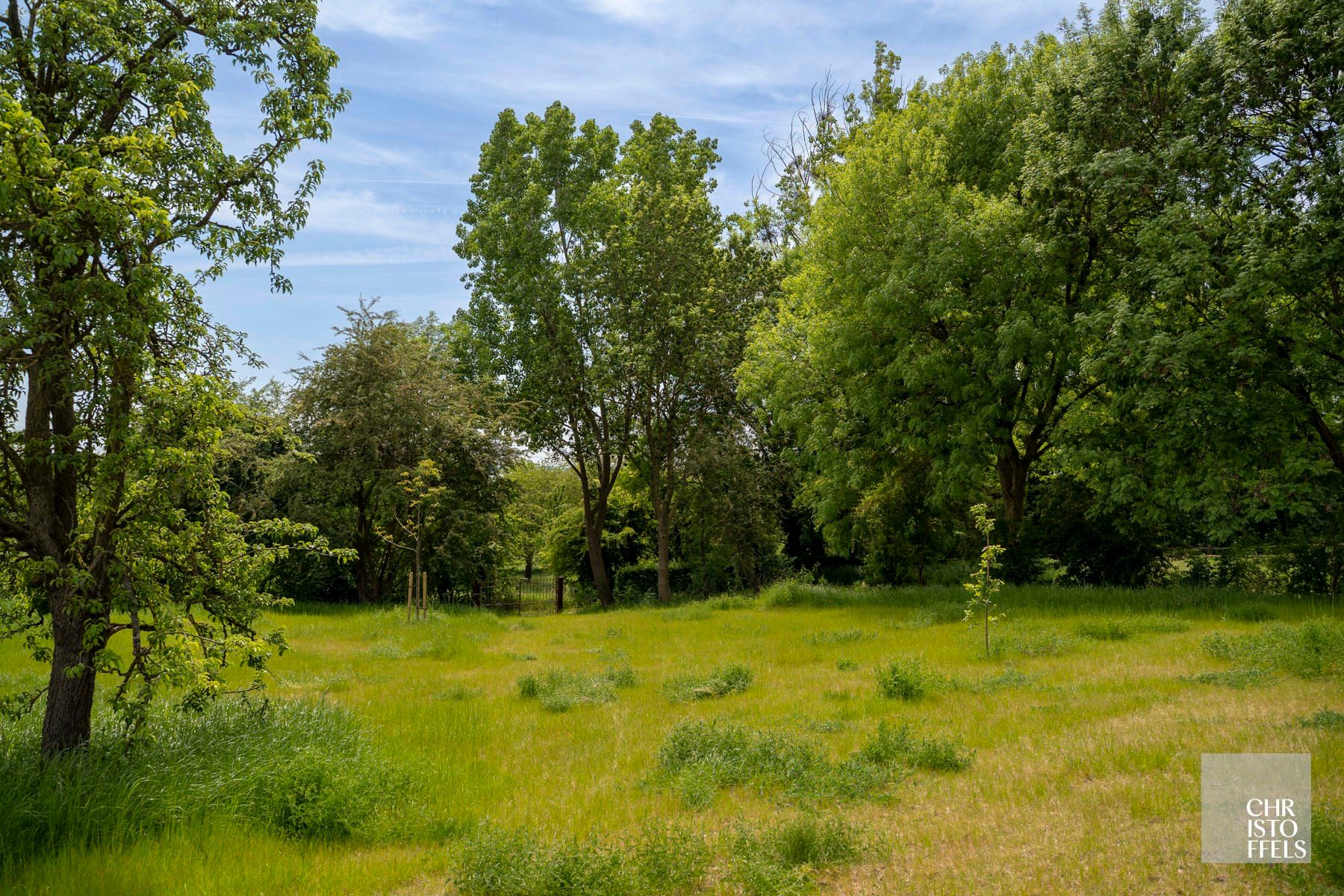 Gezinswoning (180m²) in een gerenoveerde hoeve te Riemst! foto 13