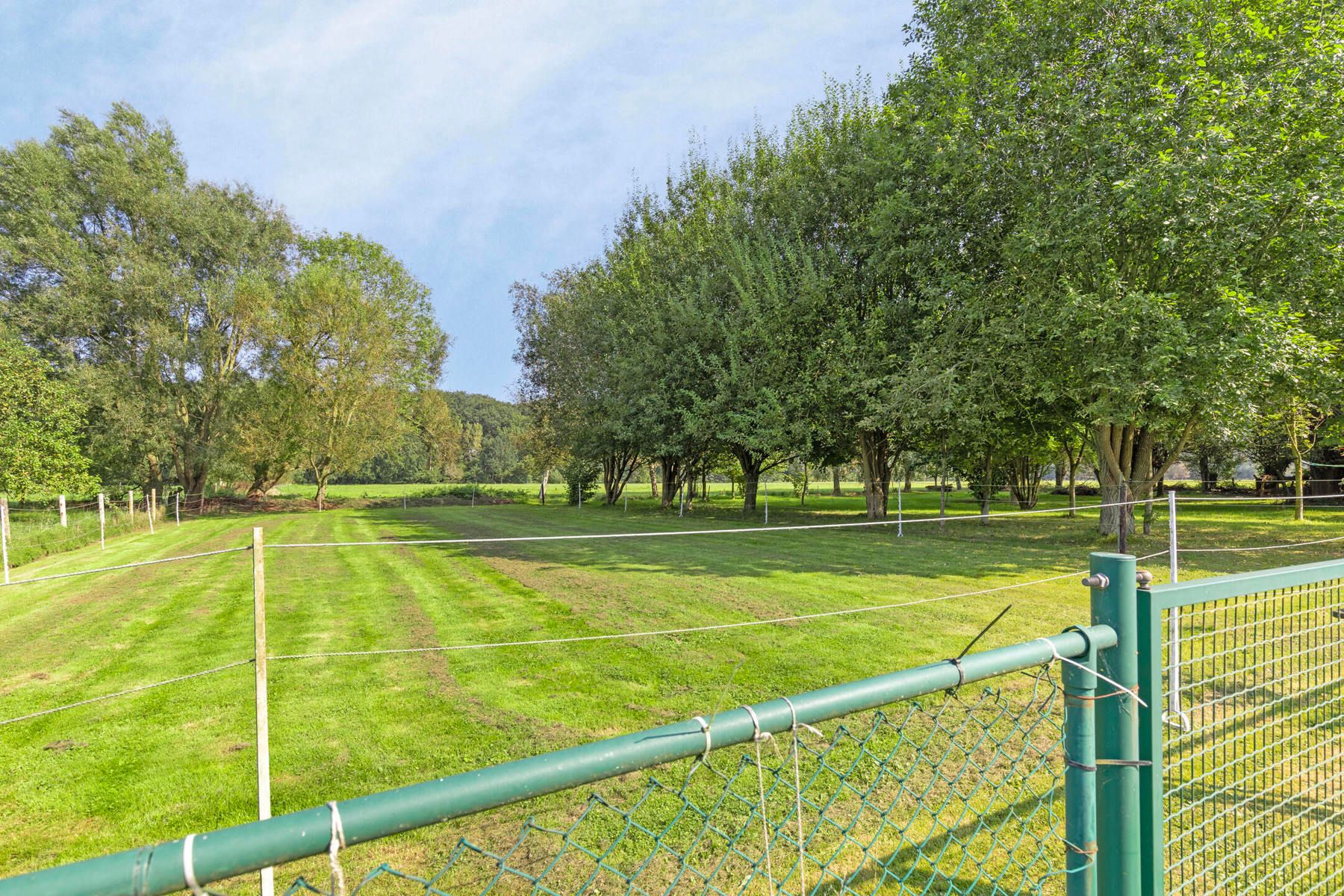 Instapklare villa met 5 kamers, 2 badkamers en grote tuin! foto 33