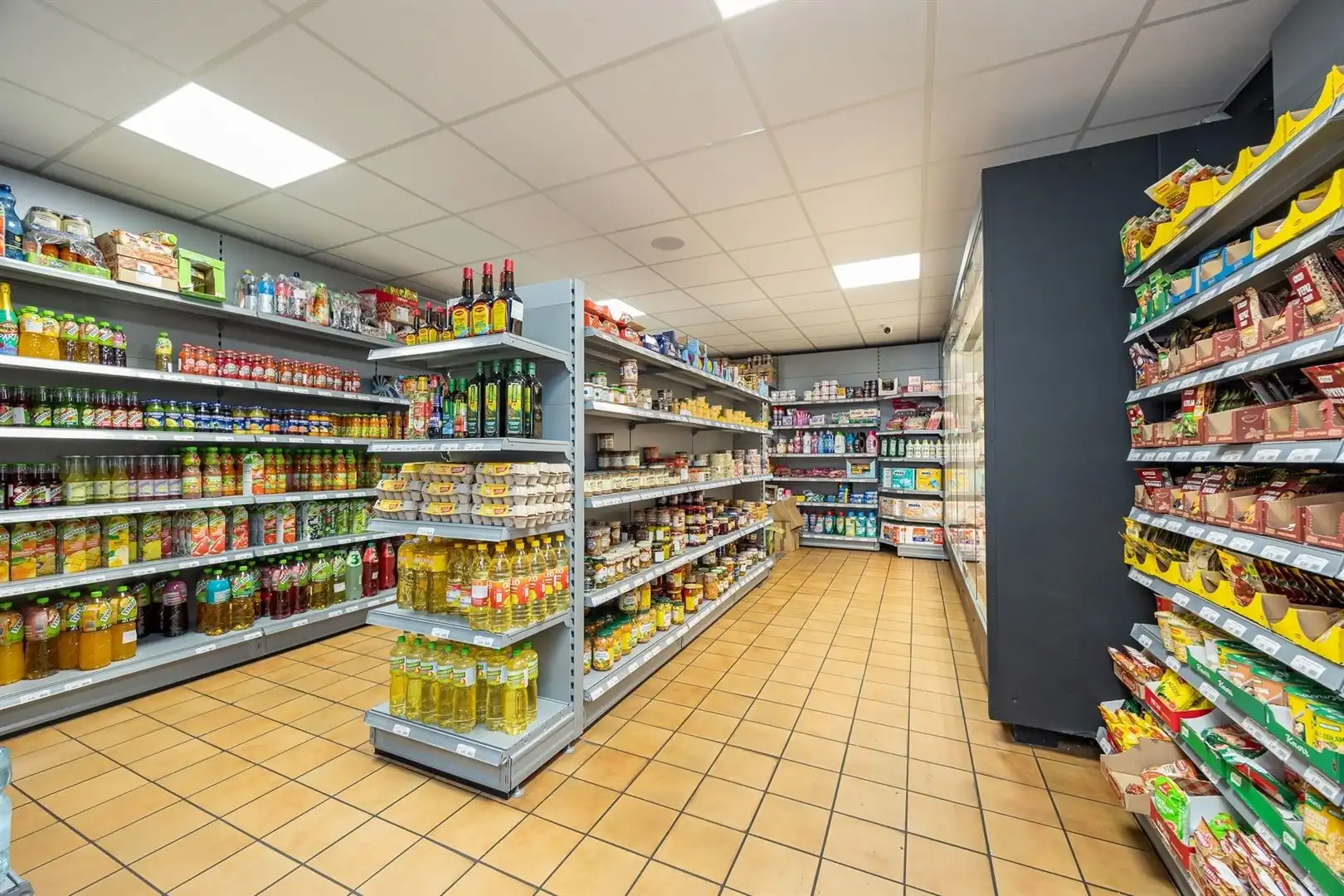 Ruim opbrengsteigendom met lift, garage en verhuurde handelsruimte foto 2