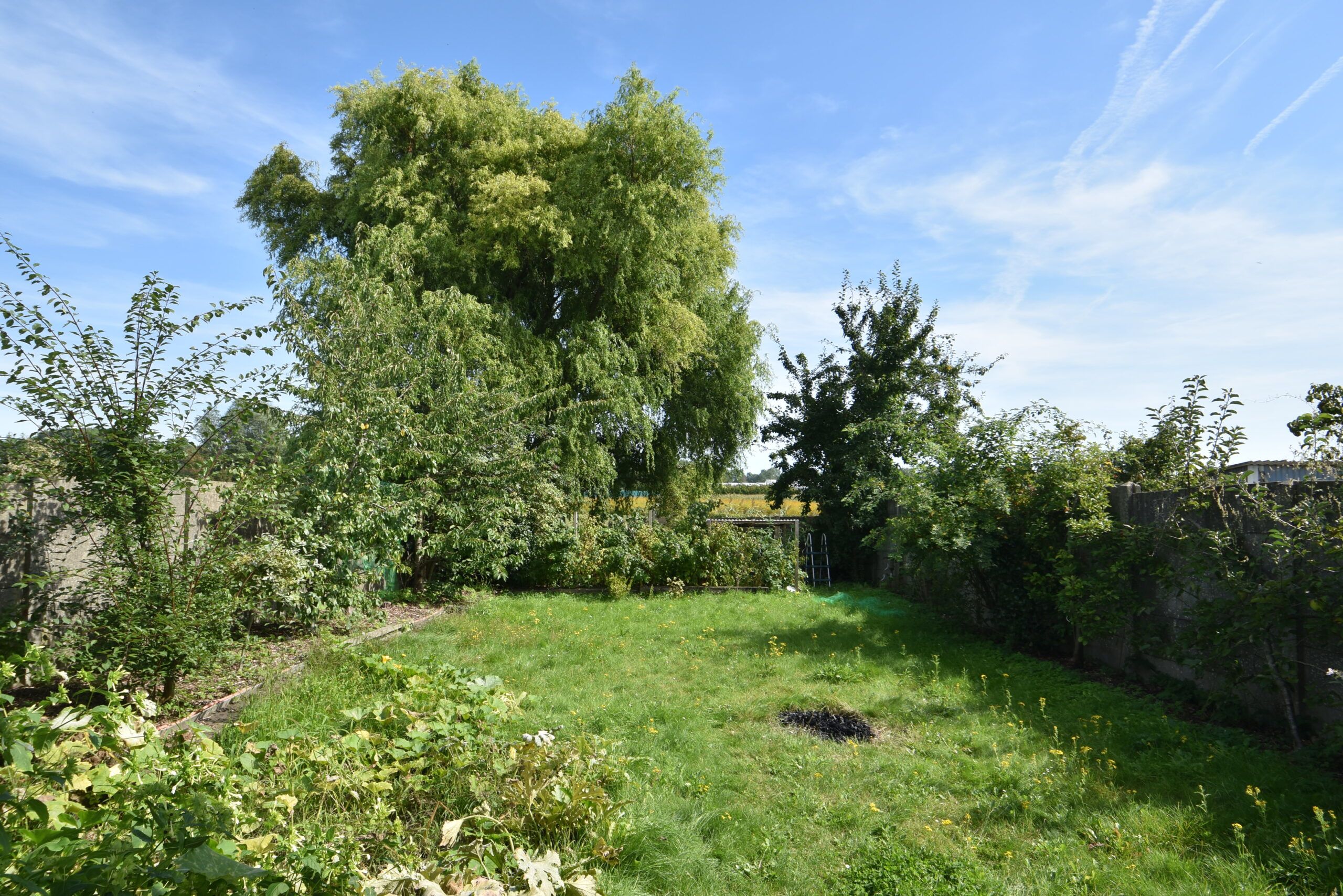 Atelier/praktijk met zeer ruime woonst in Nieuwkerken foto 36