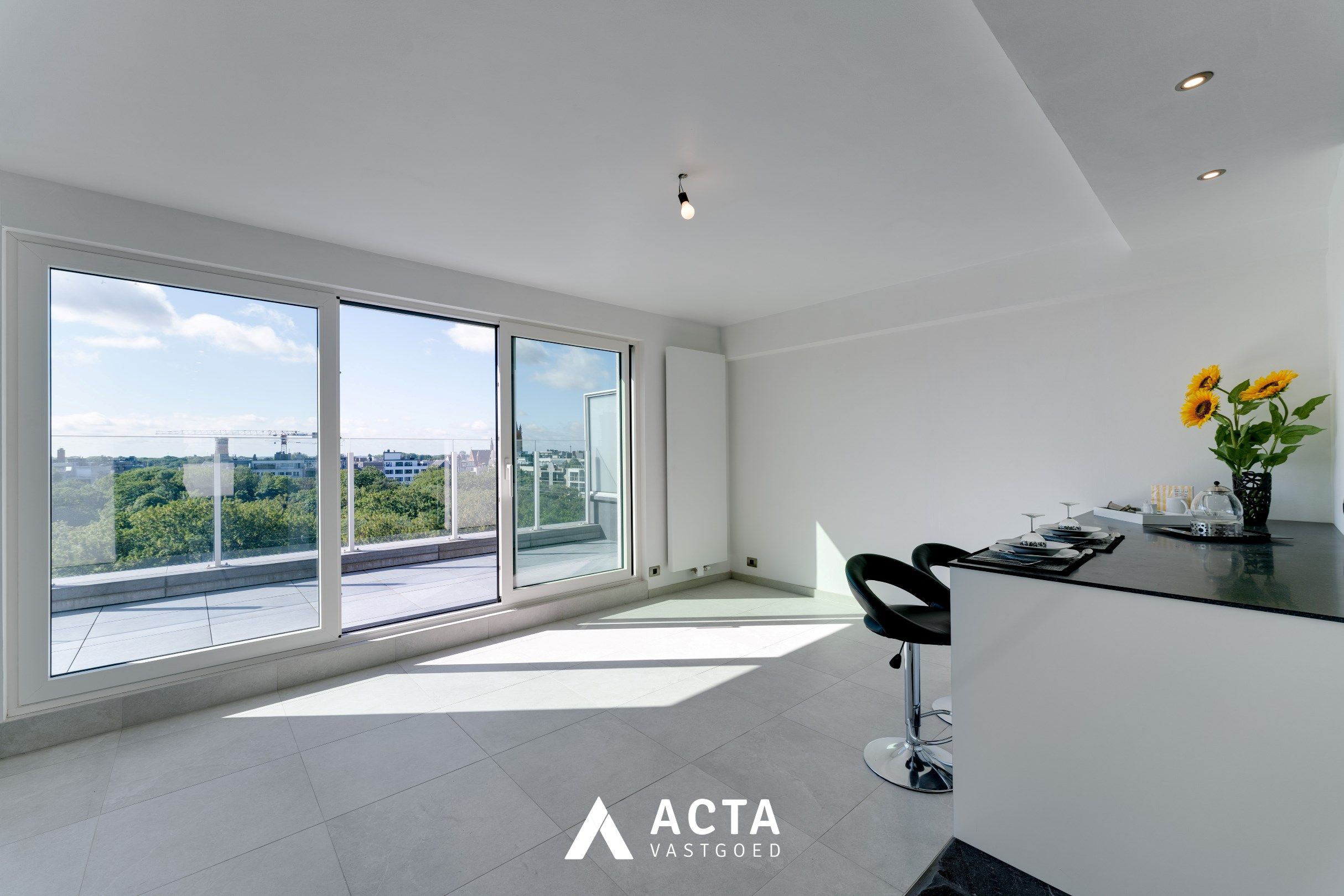 Gerenoveerde penthouse met drie slaapkamers aan het Leopoldpark foto 3