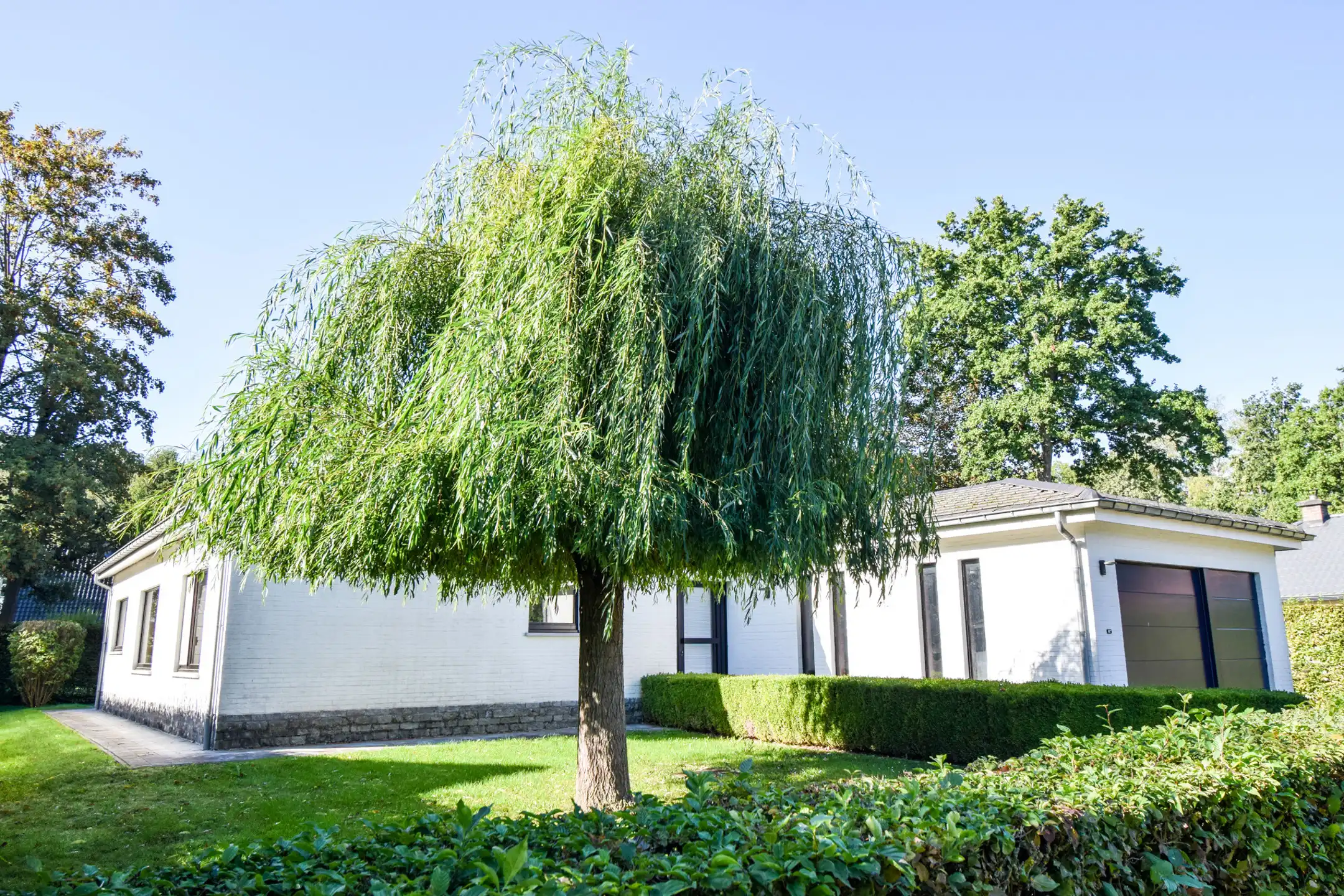 Villa te koop foto 21