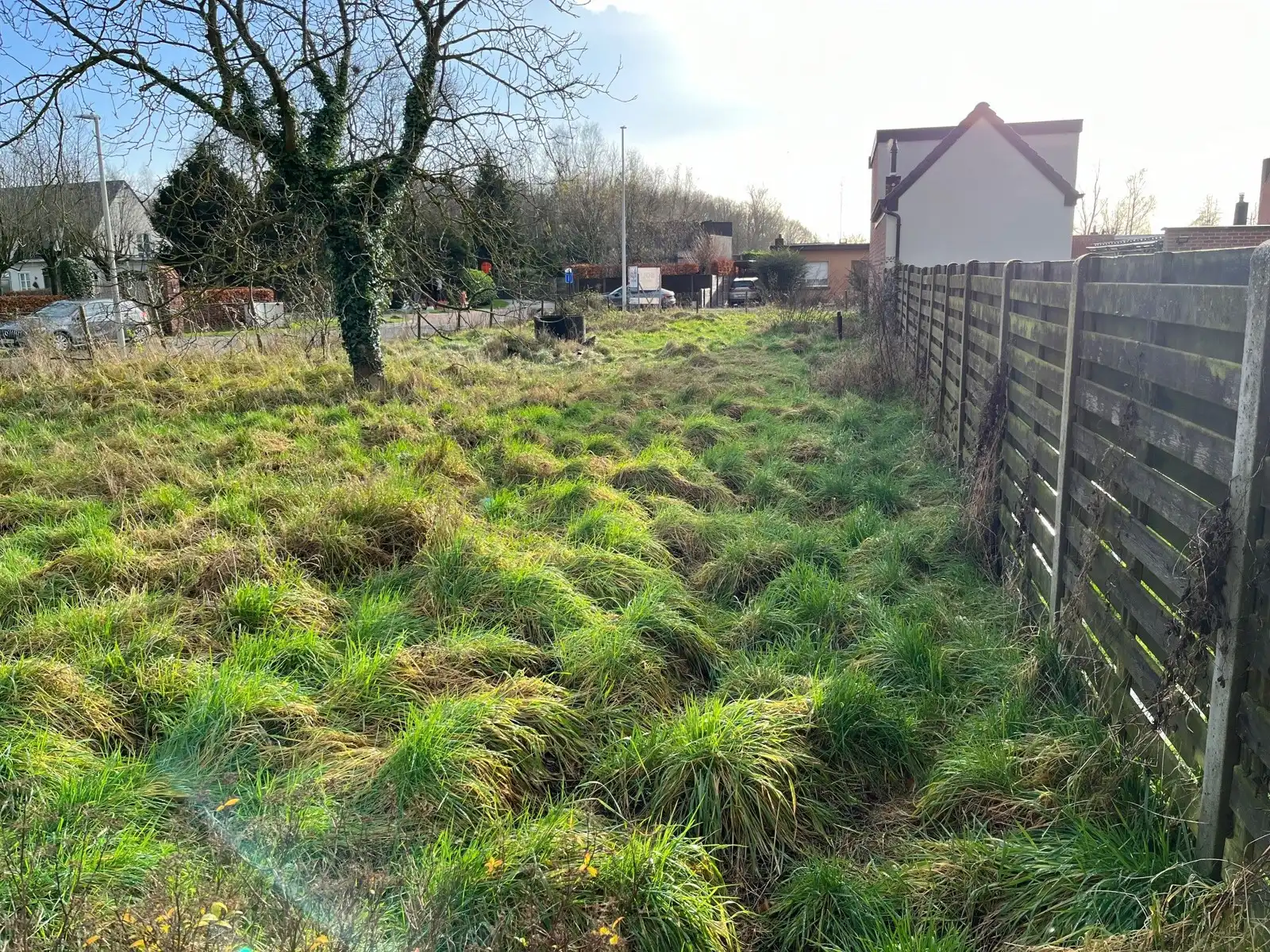 Rustig gelegen bouwgrond HOB  foto 4