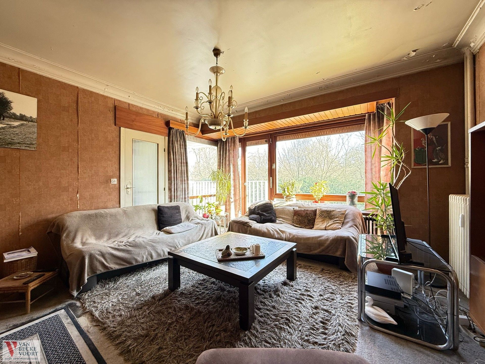 Ruim appartement met parkzicht foto 6