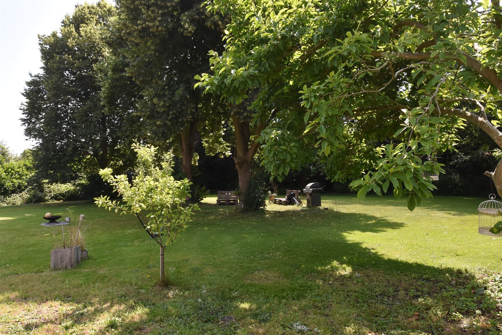 Huis foto 24