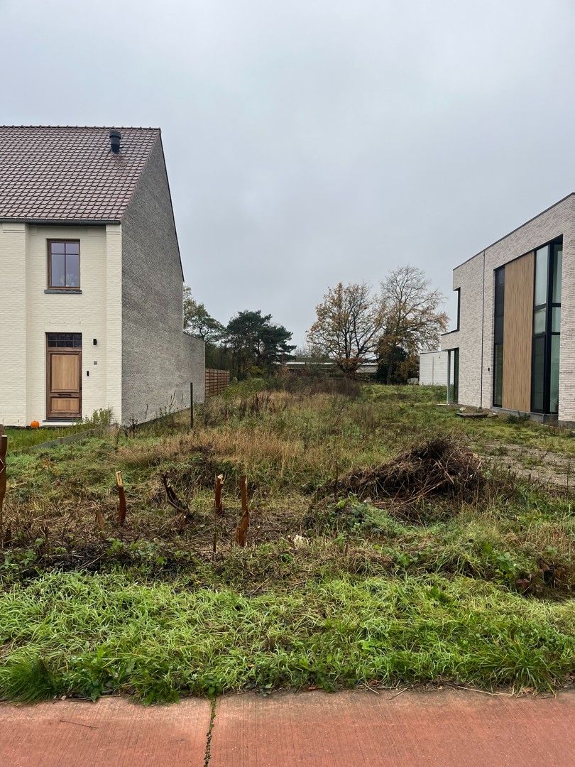 Ruim perceel van 10a29ca voor halfopen bebouwing in Zonhoven foto {{pictureIndex}}