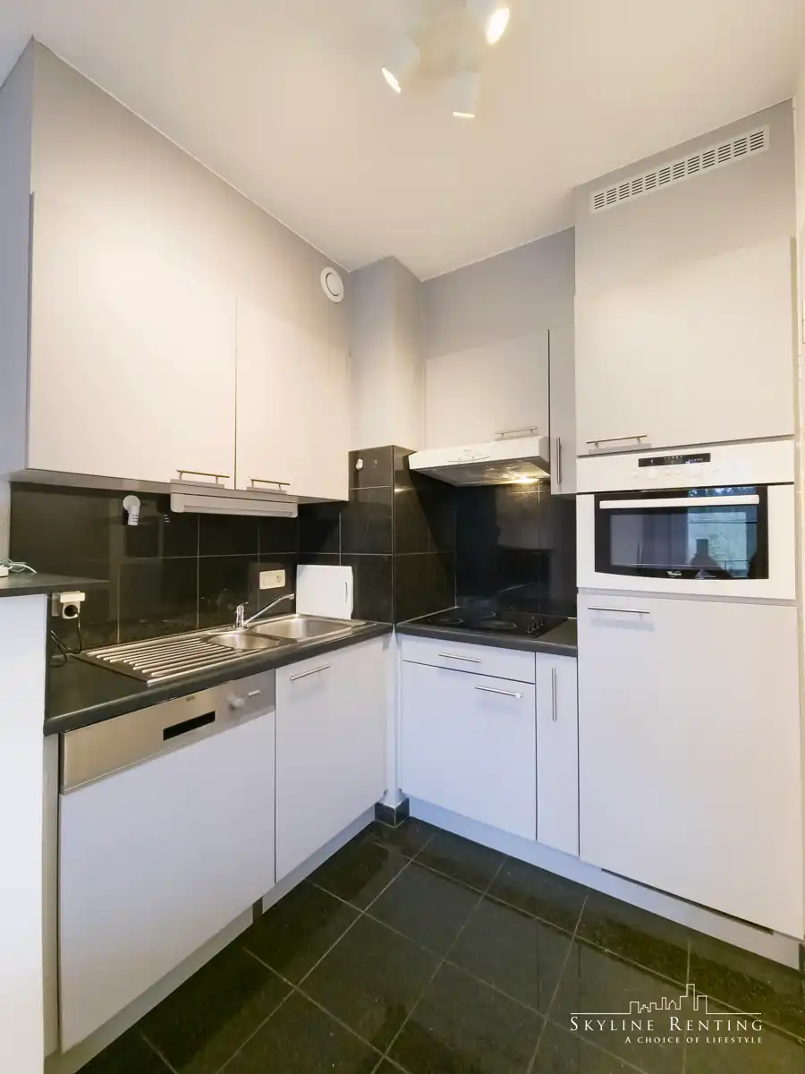 LICHTRIJK - 1 slaapkamer appartement met TERRAS foto 6