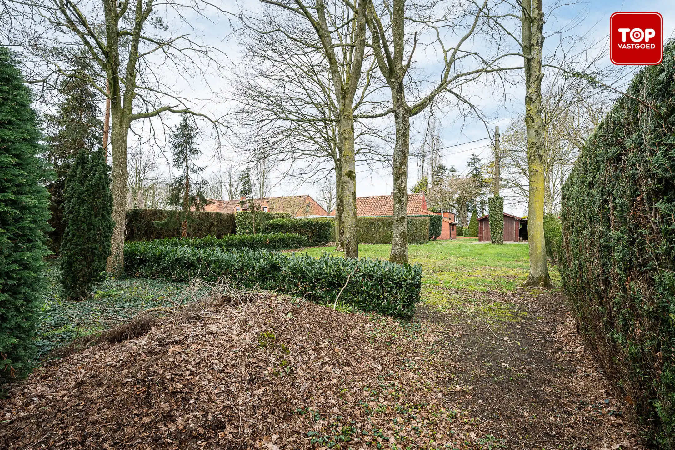 Huis te koop foto 24