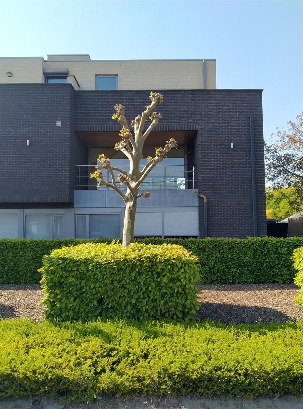 ruim duplex-dakappartement met ondergrondse parking foto 18