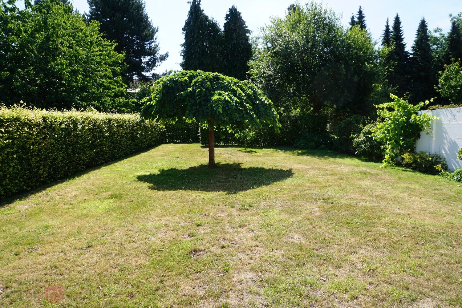 Ruime halfopen ééngezinswoning met 5 slaapkamers en een grote tuin. foto 3