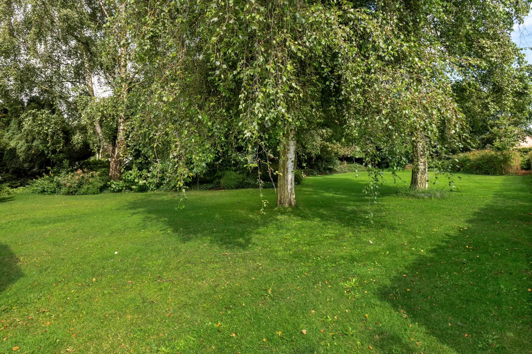 Woning met mogelijkheden en vergunde bijgebouw op 2.012m² foto 29