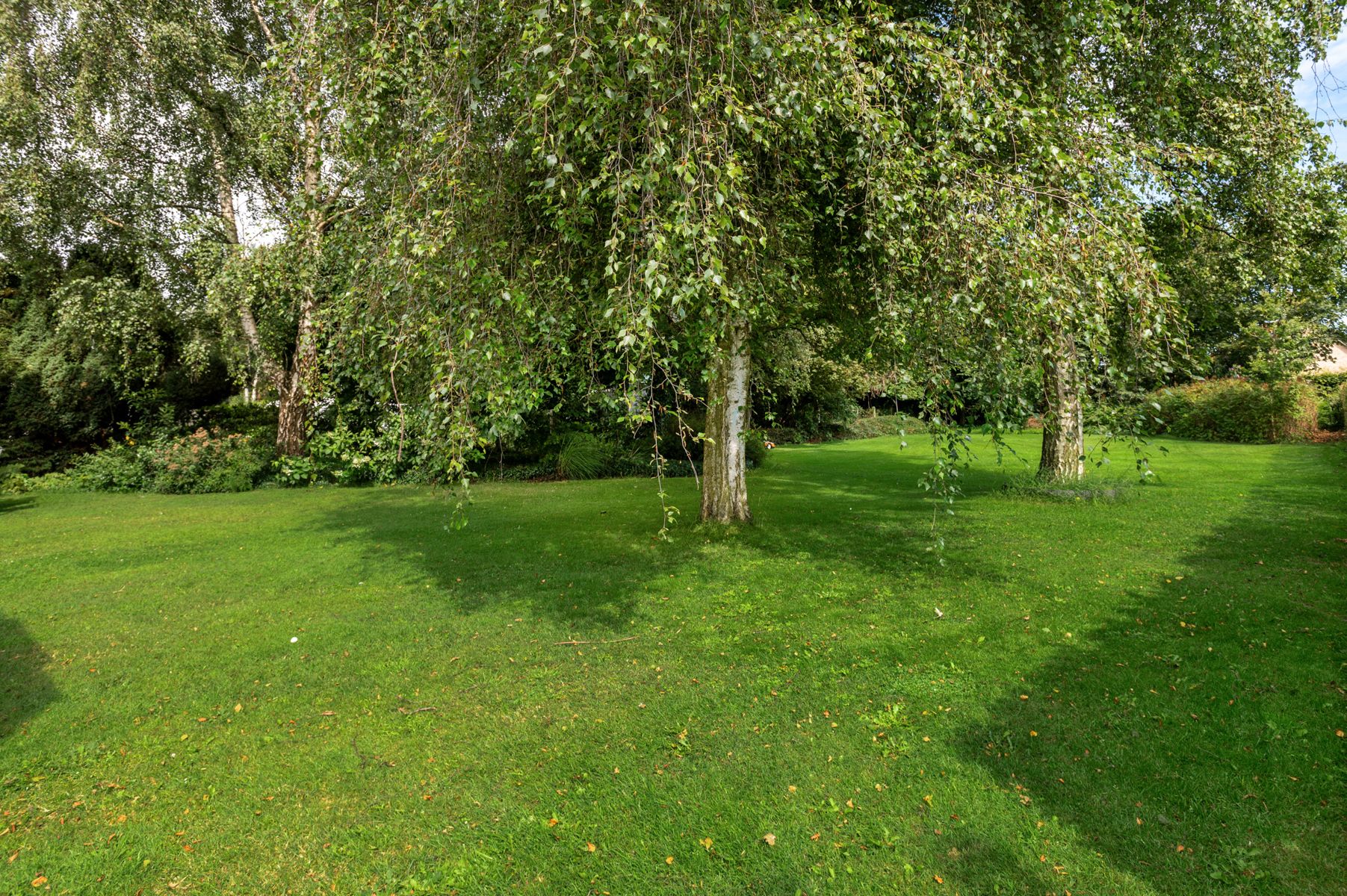Woning met mogelijkheden en vergunde bijgebouw op 2.012m² foto 29