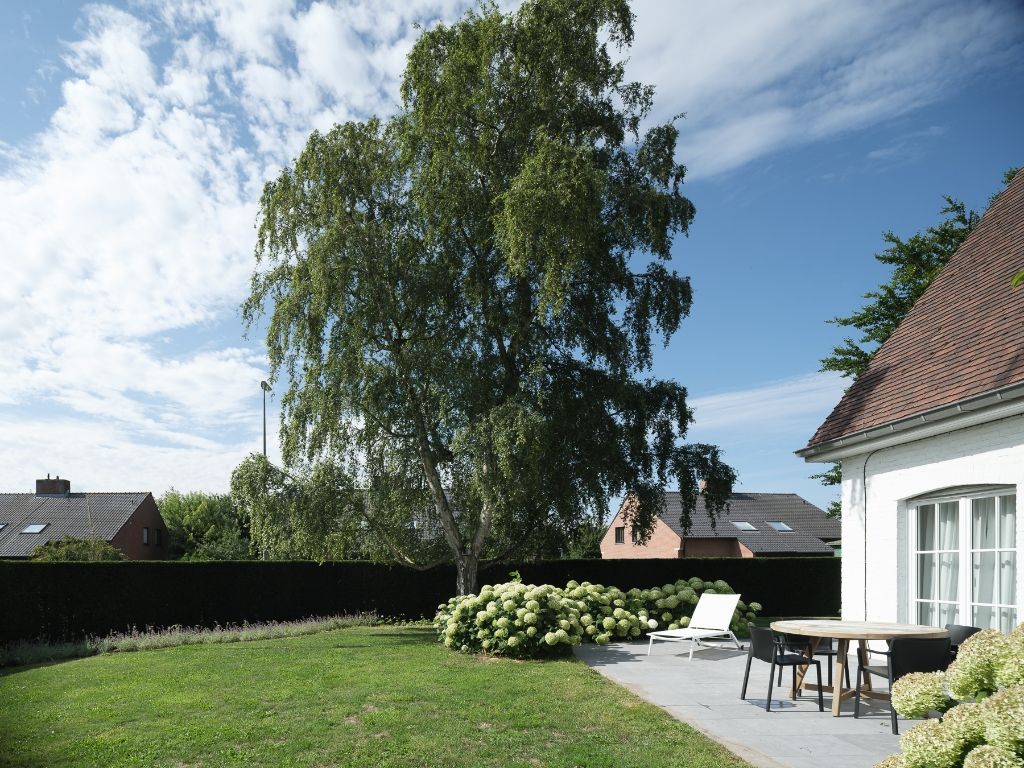 Bijzonder ruime (385 m²) en instapklare villa rustig gelegen in Astene foto 12