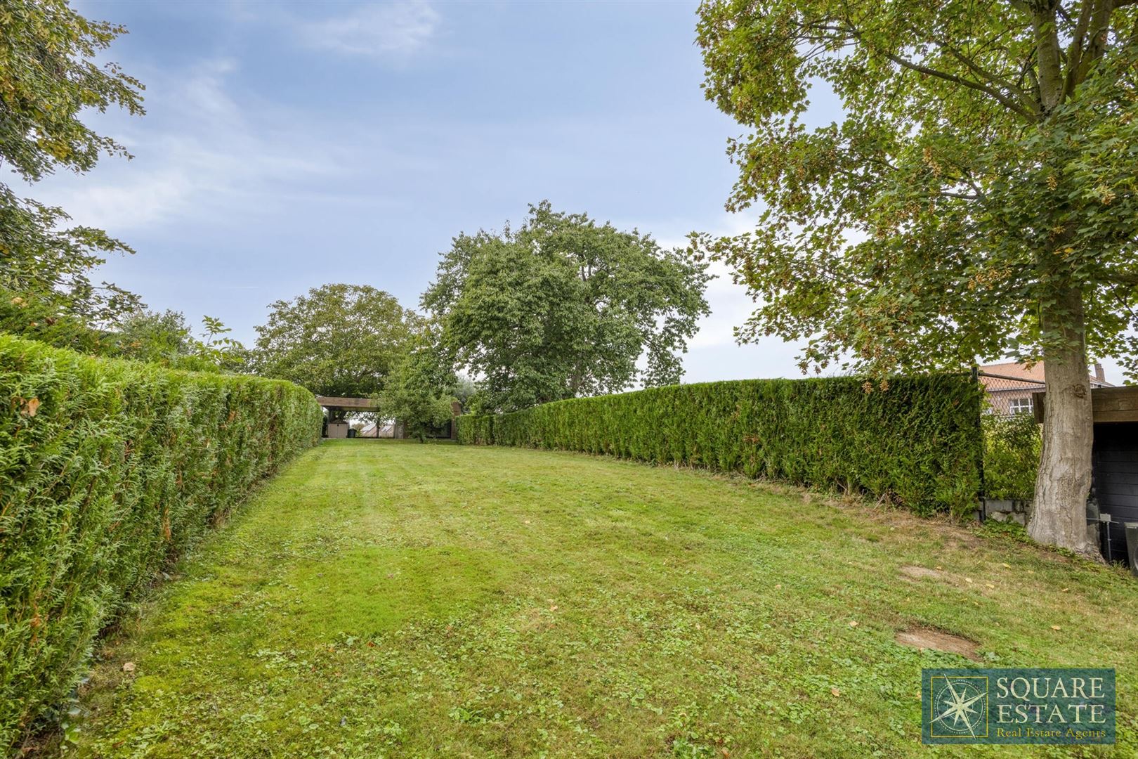 Eengezinswoning met zwembad in Mollem foto 25