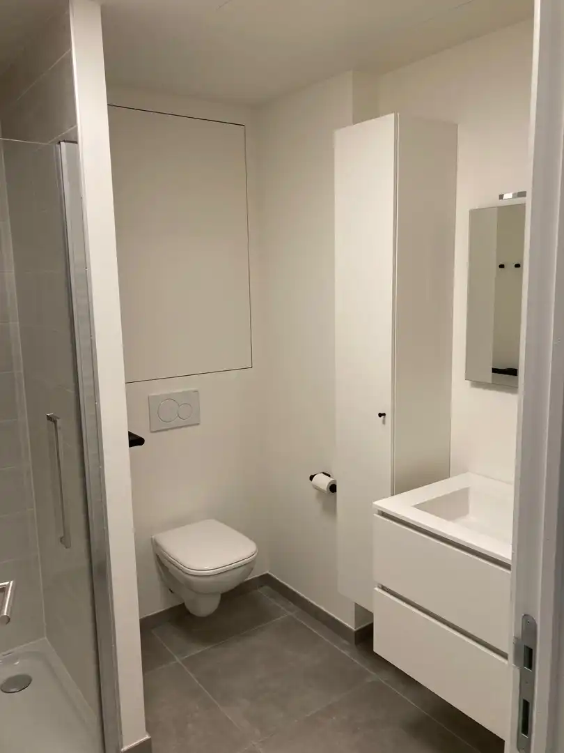 Instapklare studio met prachtig uitzicht in hartje Hasselt foto 10