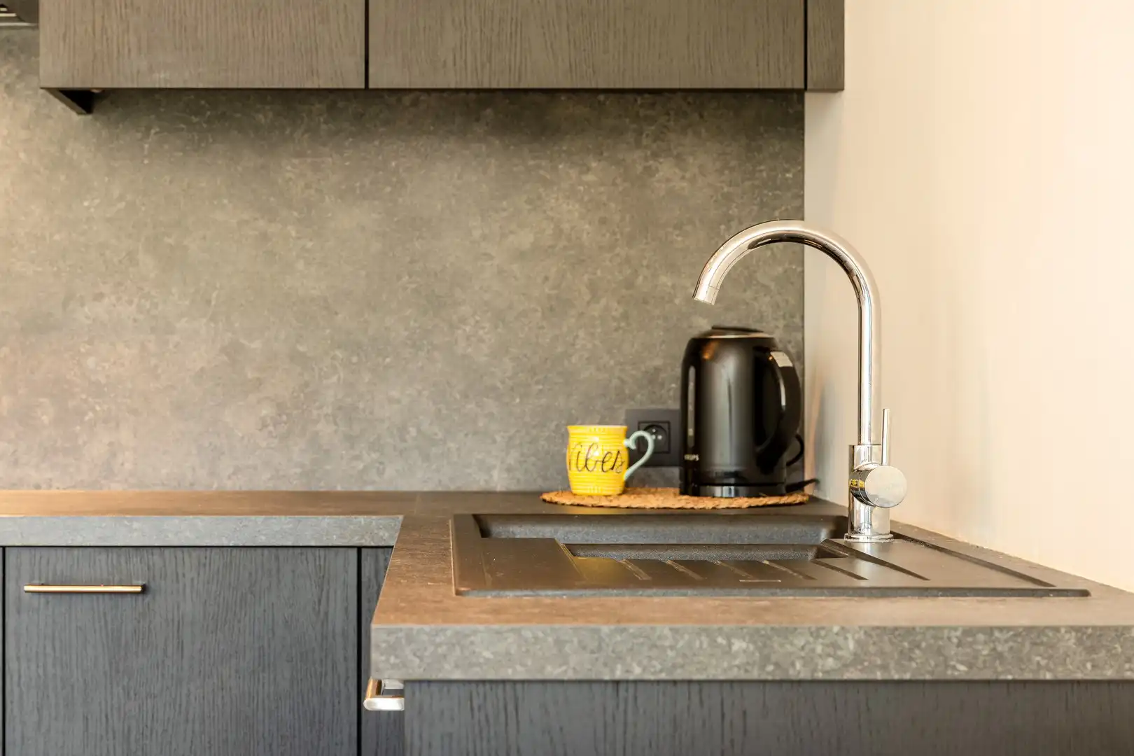 INSTAPKLAAR GELIJKVLOERS APPARTEMENT MET ZUIDTUIN & GARAGE foto 8