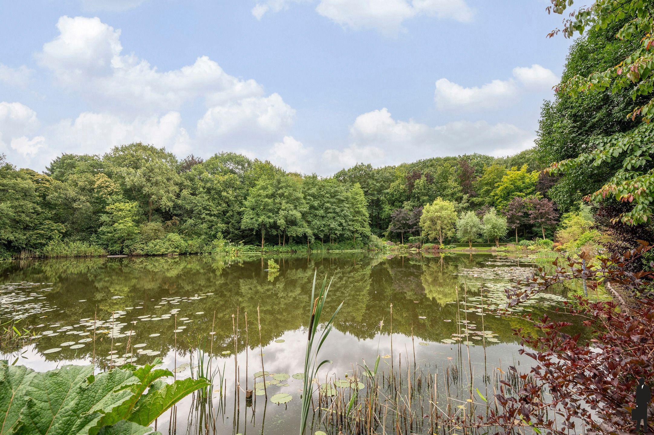Unieke en zéér centraal gelegen villa op een parkdomein van ca. 9.847 m²! foto 43
