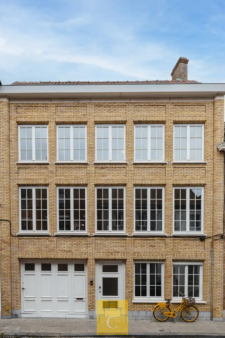 perfect gelegen pas gerenoveerde stadswoning - 340 m2 vloeroppervlakte - met garage, tuin en extra terras op het verdiep foto 4