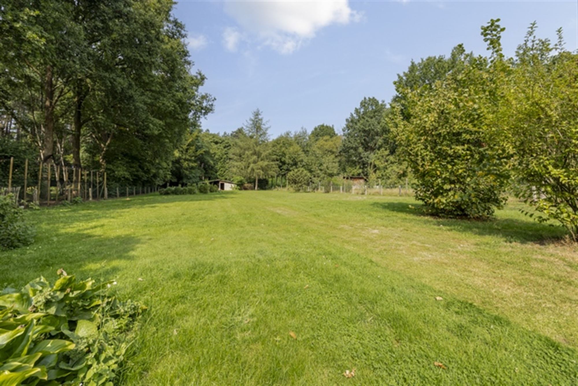 Landhuis met bijgebouwen op 3835 m² op rustige ligging foto 27