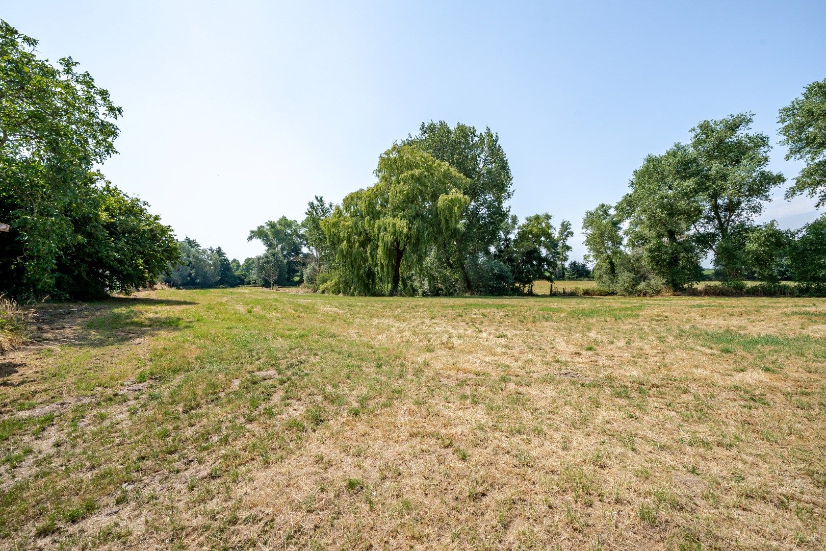 Karaktervolle hoeve met rustieke elementen. Aankoop tot domein van 4 hectare. foto 11