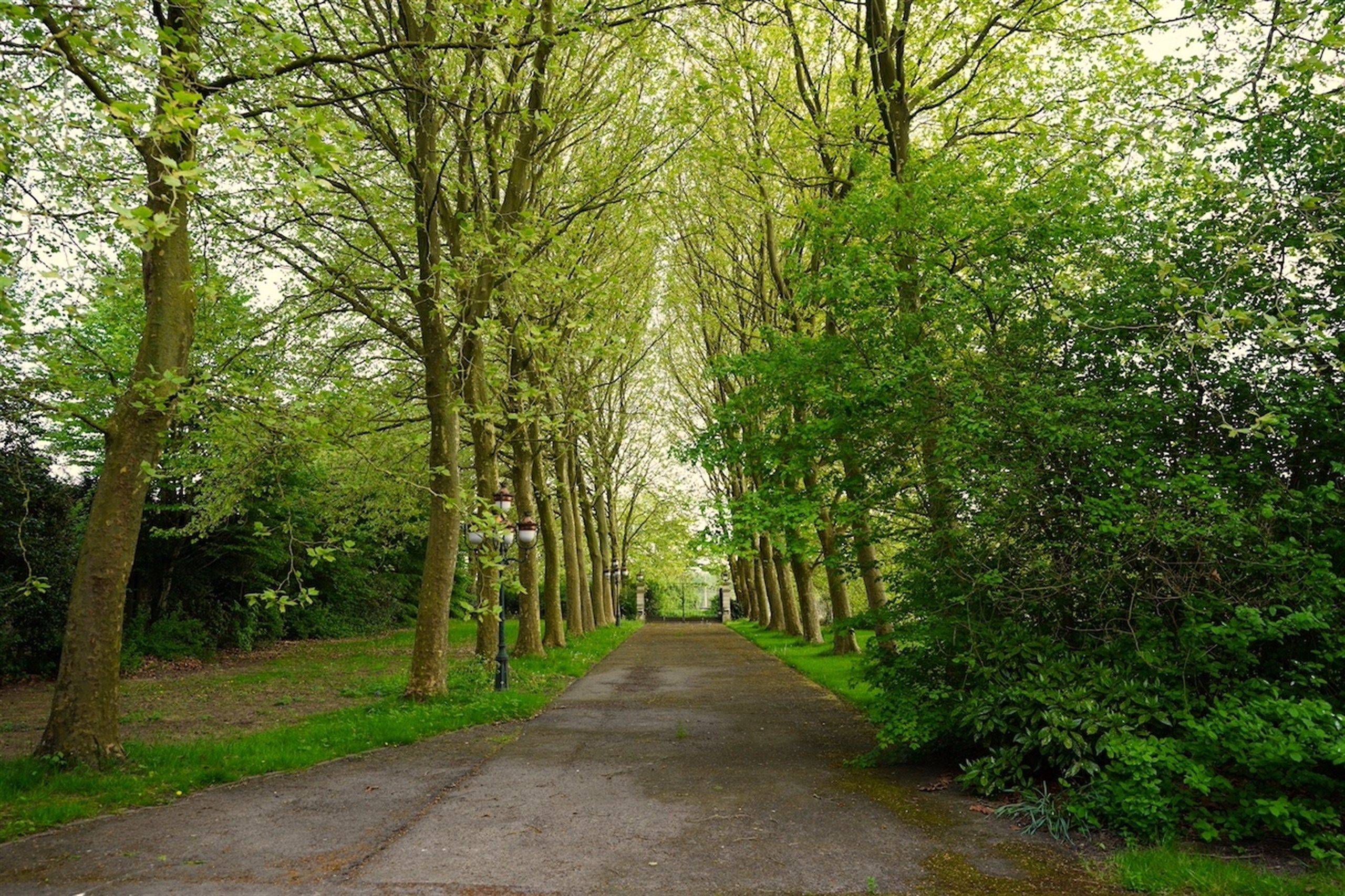 Majestueuze eigendom gelegen op een weelderig landgoed van ca. 1 ha! foto 2