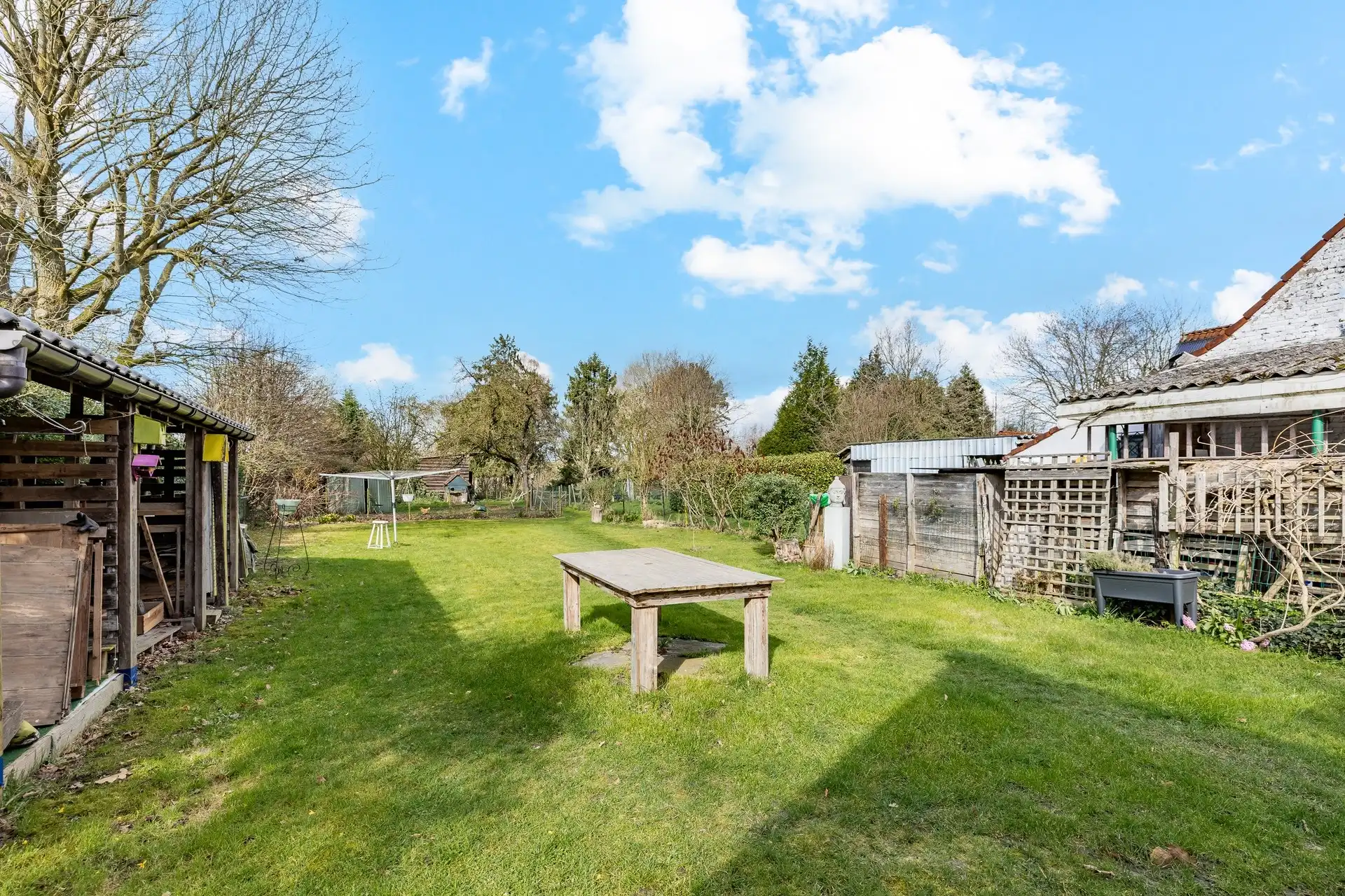 Charmante woning met grote tuin! foto 4