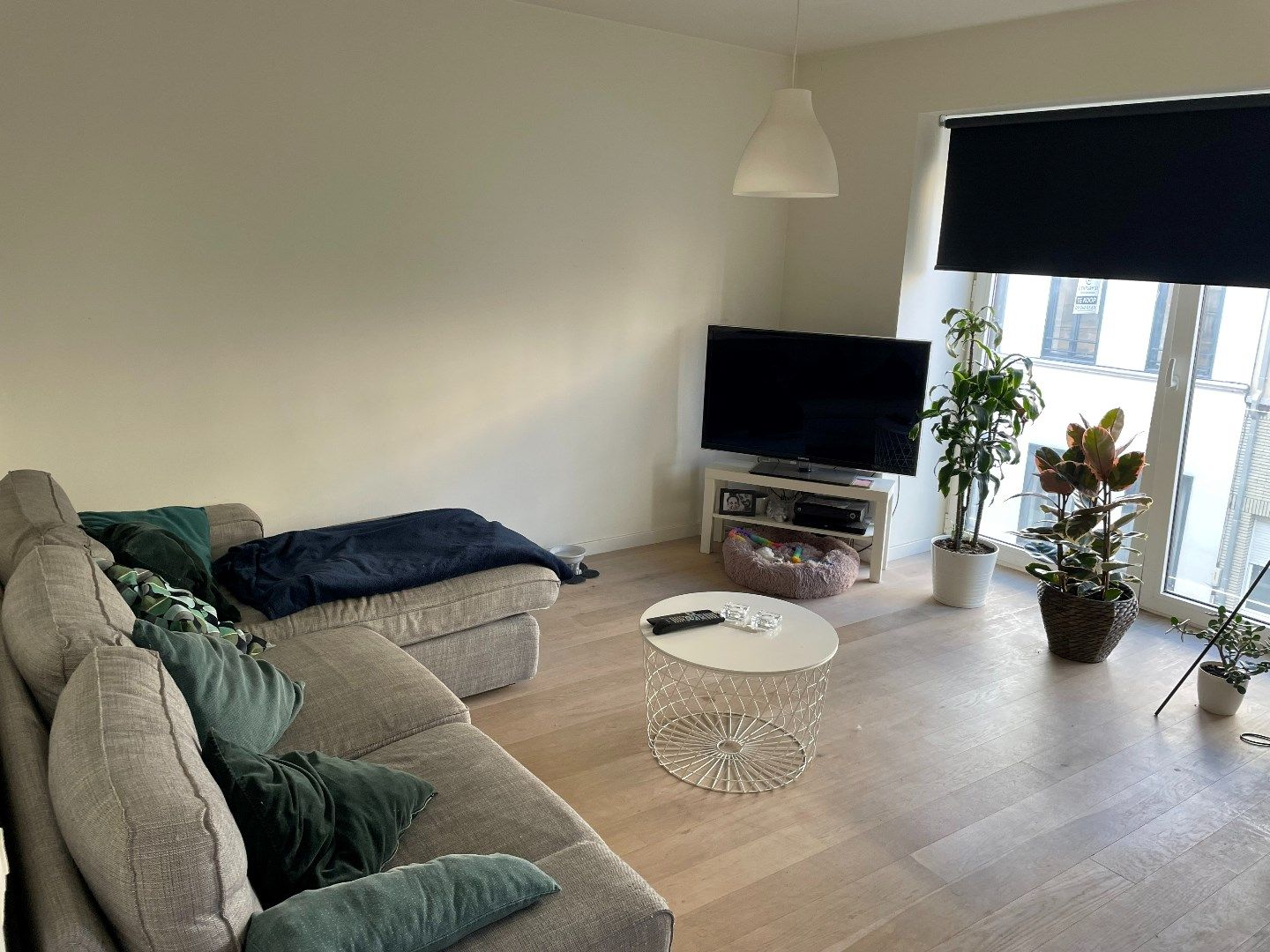 Appartement met 1 slaapkamer in hartje Gent foto 4