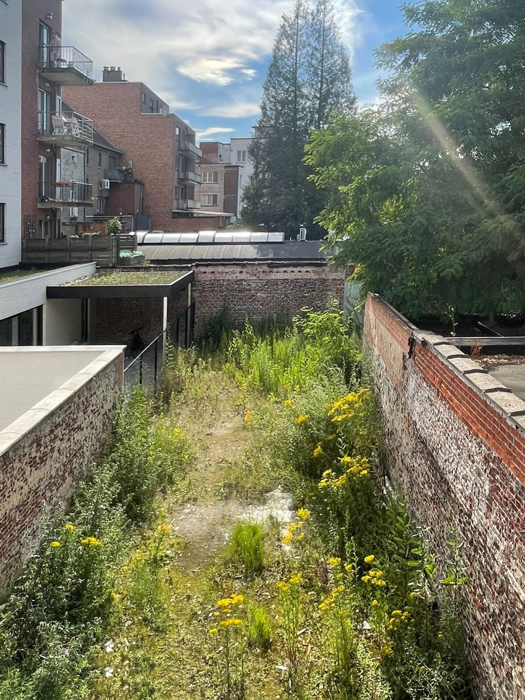 Unieke opportuniteit - Ledeberg. Handelshuis (4 slaapkamers) , terras en ruime tuin op een commerciële ligging aan het Ledebergplein. foto 3