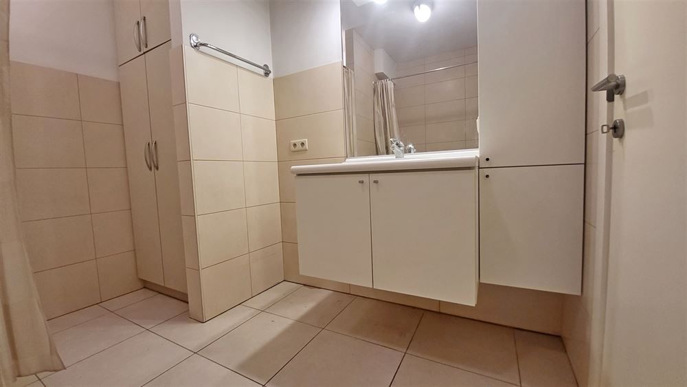 1-slpk appartement vlakbij stadspark foto 22