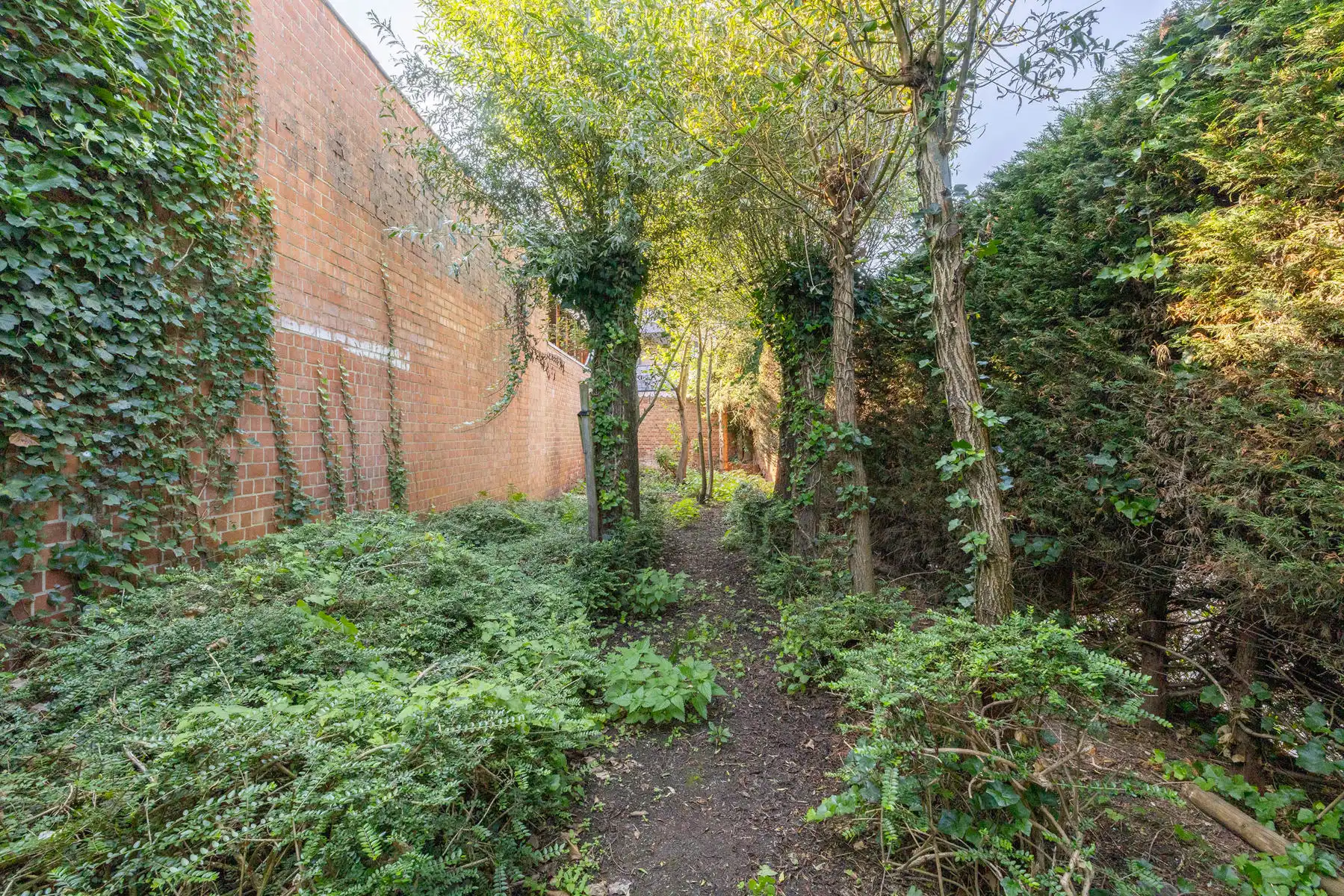 GLV handelspand/kantoor van 133m² met kelder, terras en tuin foto 12