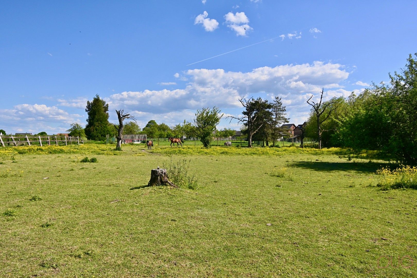 Knusse fermette met weilanden en paardenstallen, op een perceel van 70 are in Sint-Truiden foto 6